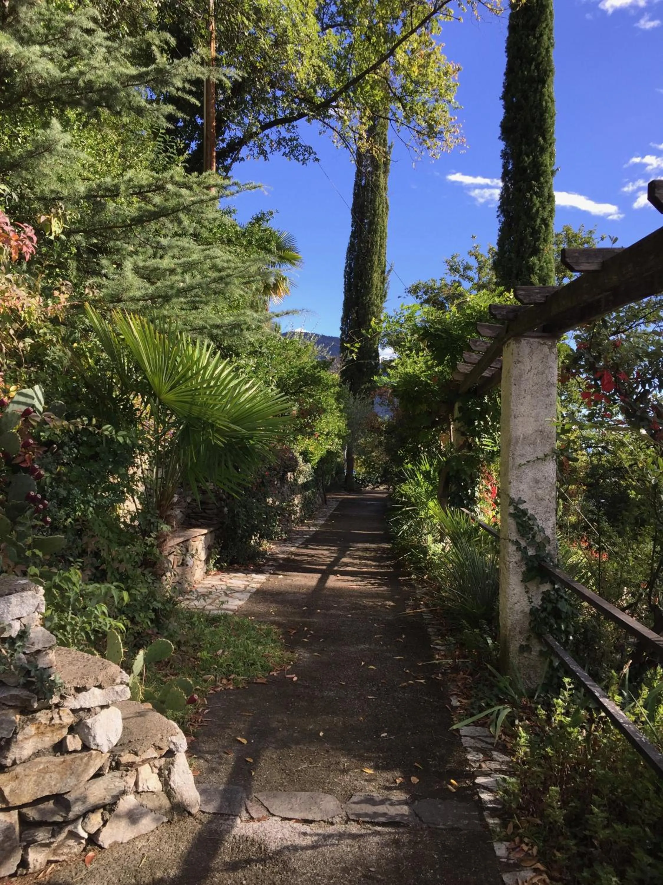 Garden in Villa Tivoli