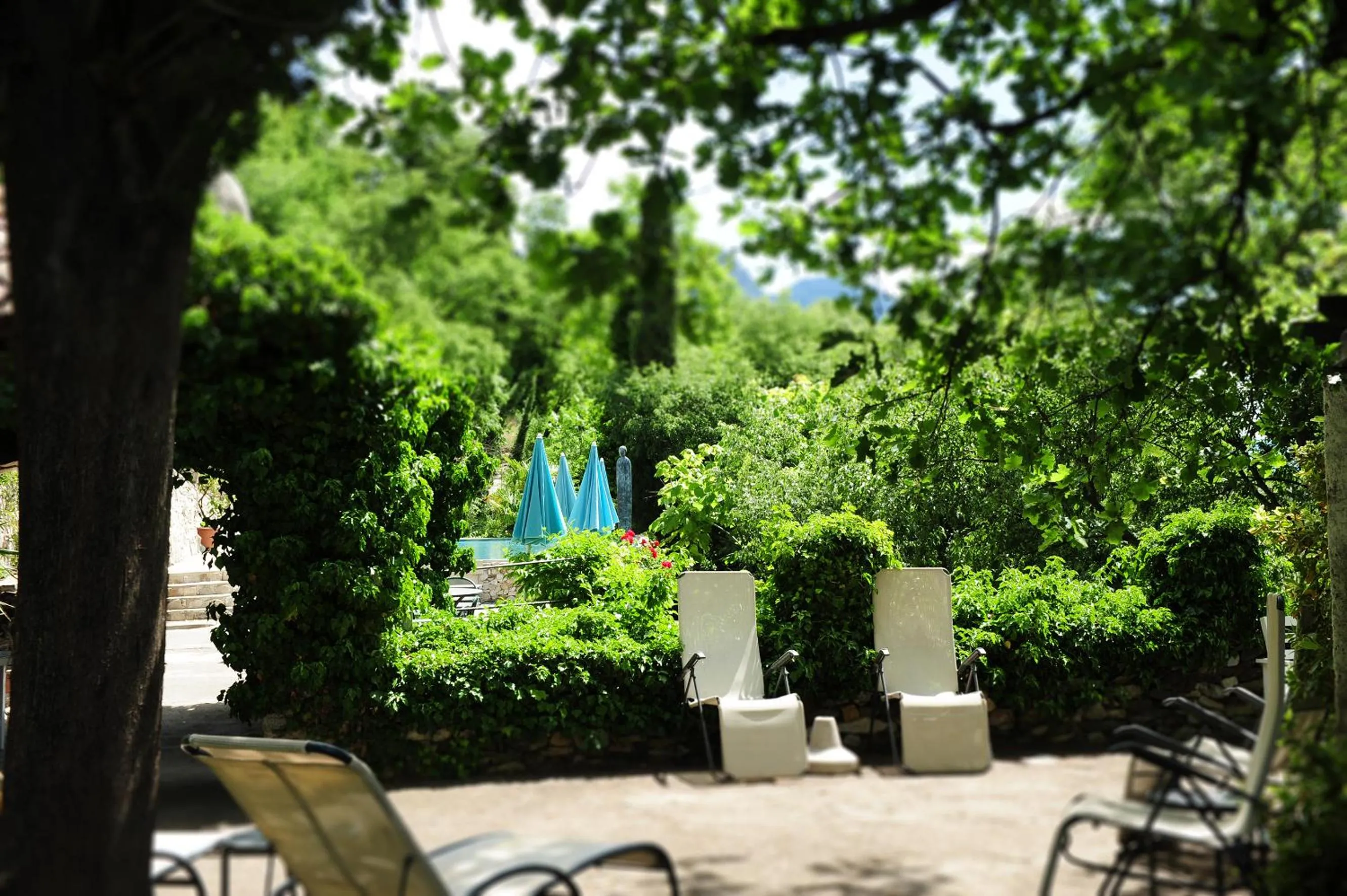 Garden in Villa Tivoli