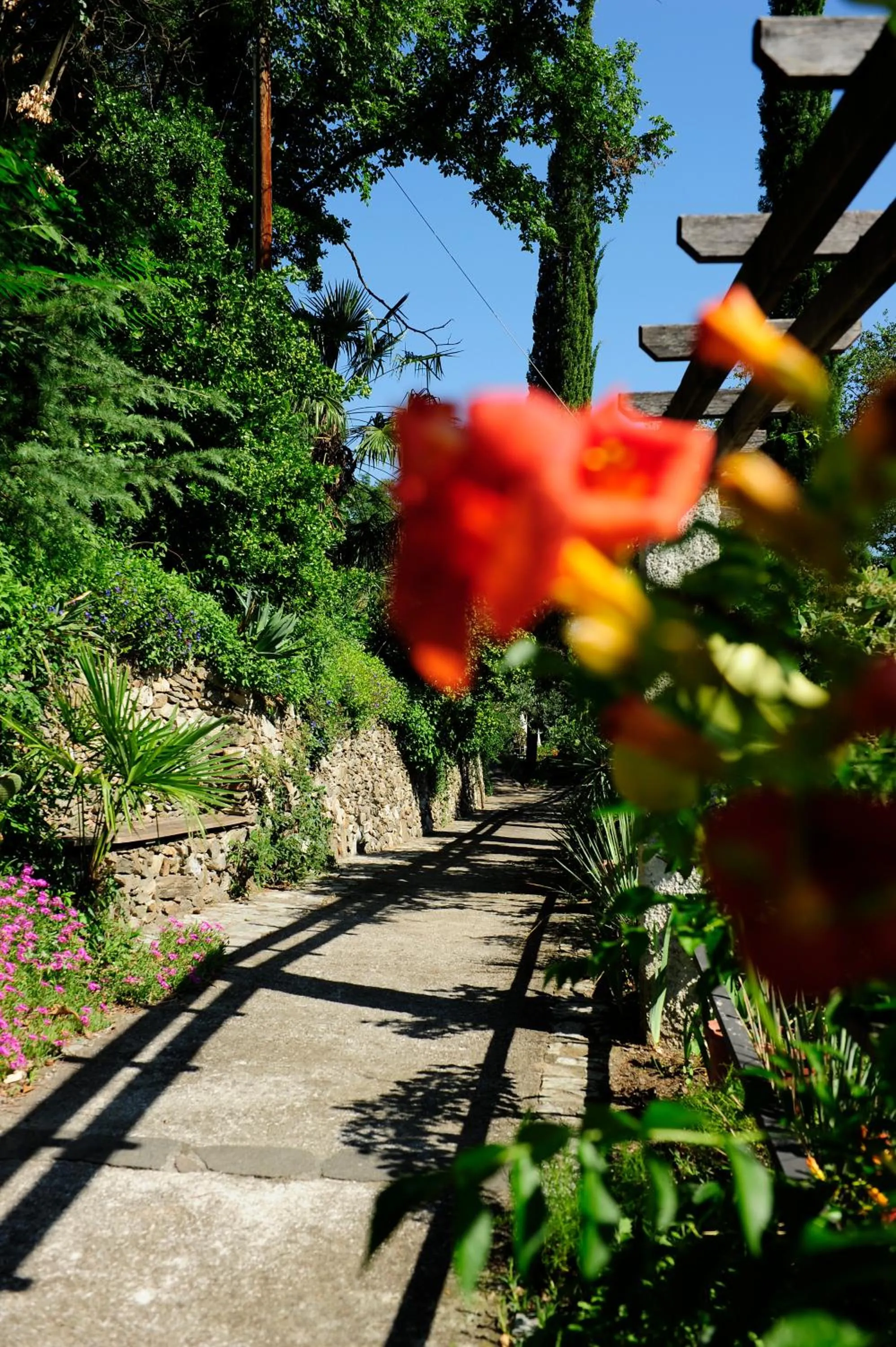 Garden in Villa Tivoli