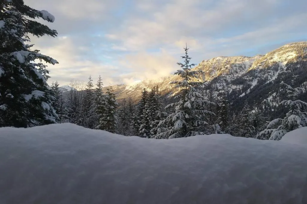Hot Tub Cool Views: Roaring Creek Cabin