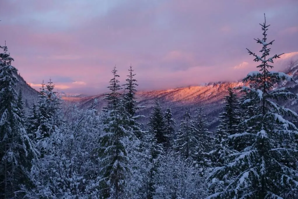 Hot Tub Cool Views: Roaring Creek Cabin