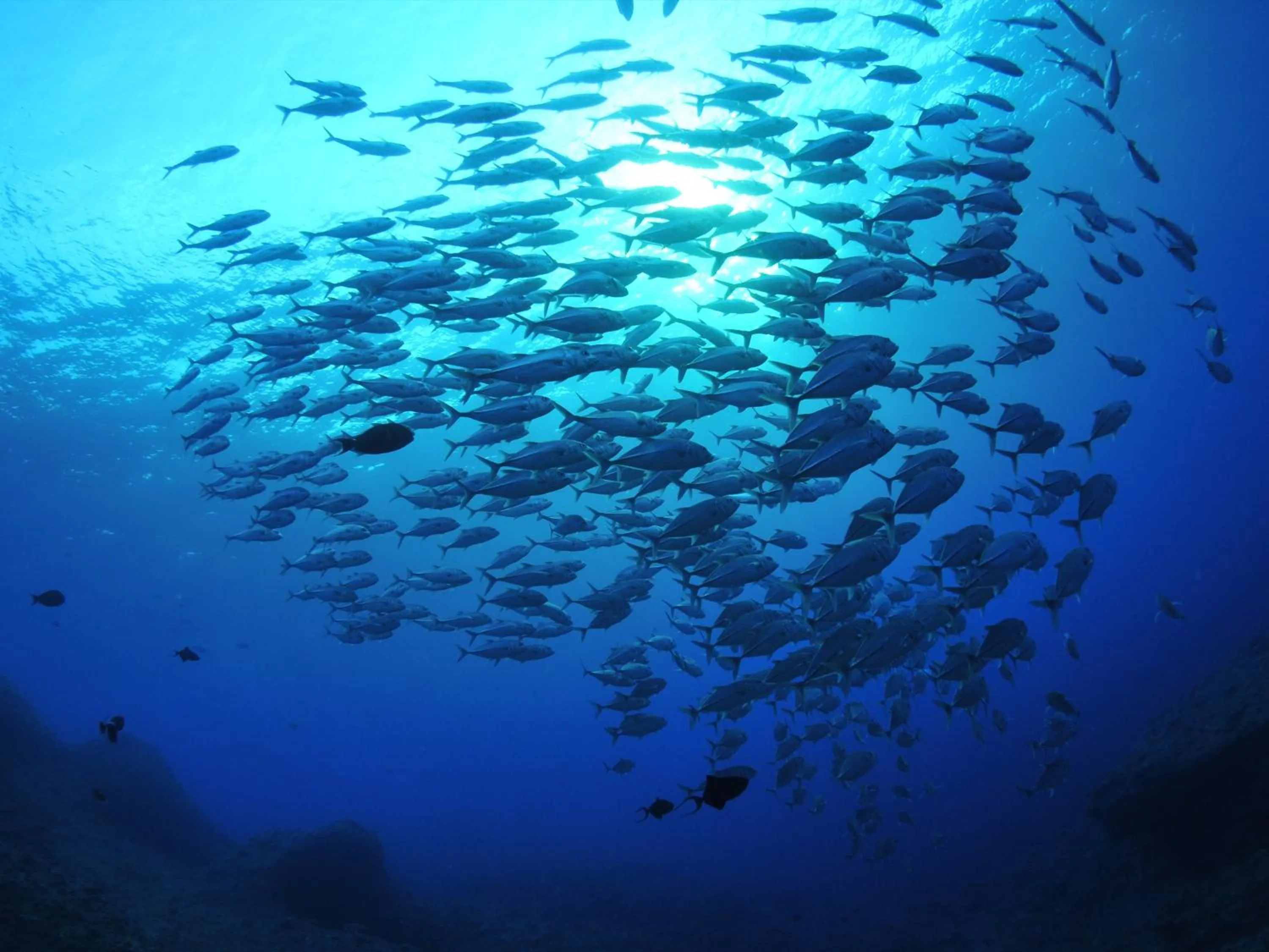 Natural landscape in Watermark Hotel Okinawa Kume Island