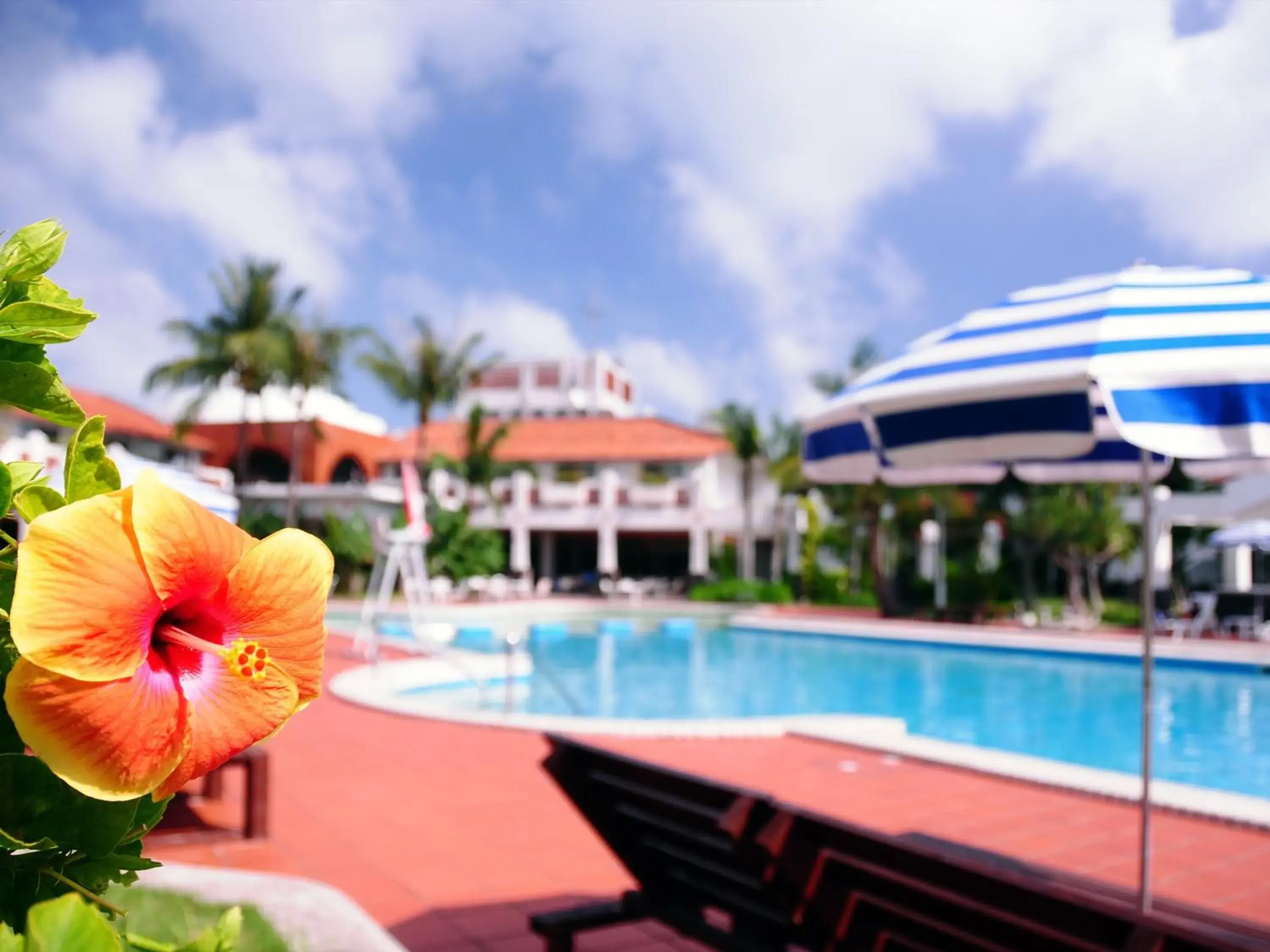 Swimming pool in Watermark Hotel Okinawa Kume Island Swimming pool in Watermark Hotel Okinawa Kume Island