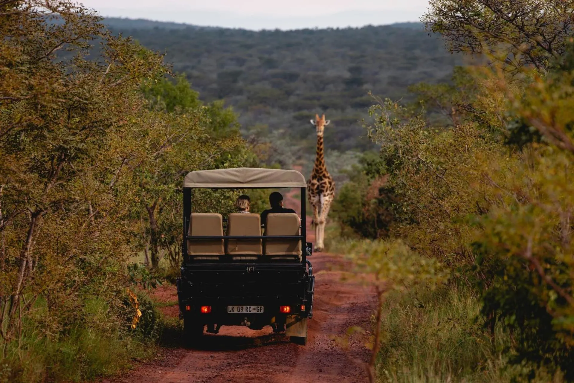 Activities in Elephants Crossing