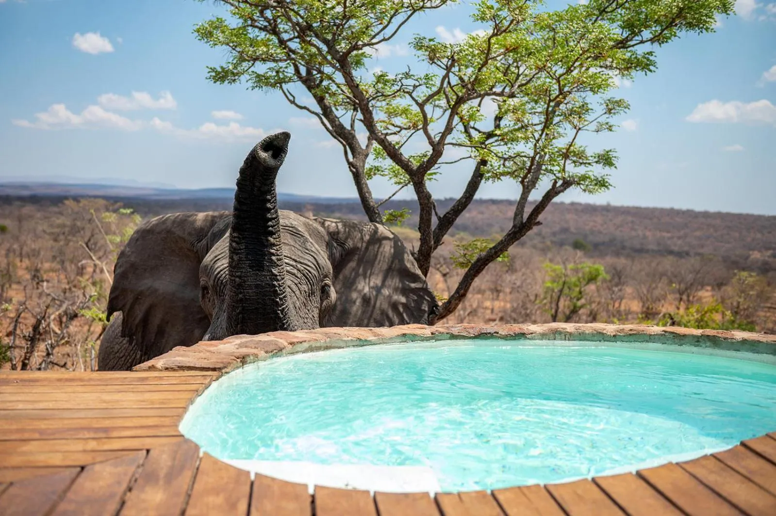 Swimming pool in Elephants Crossing
