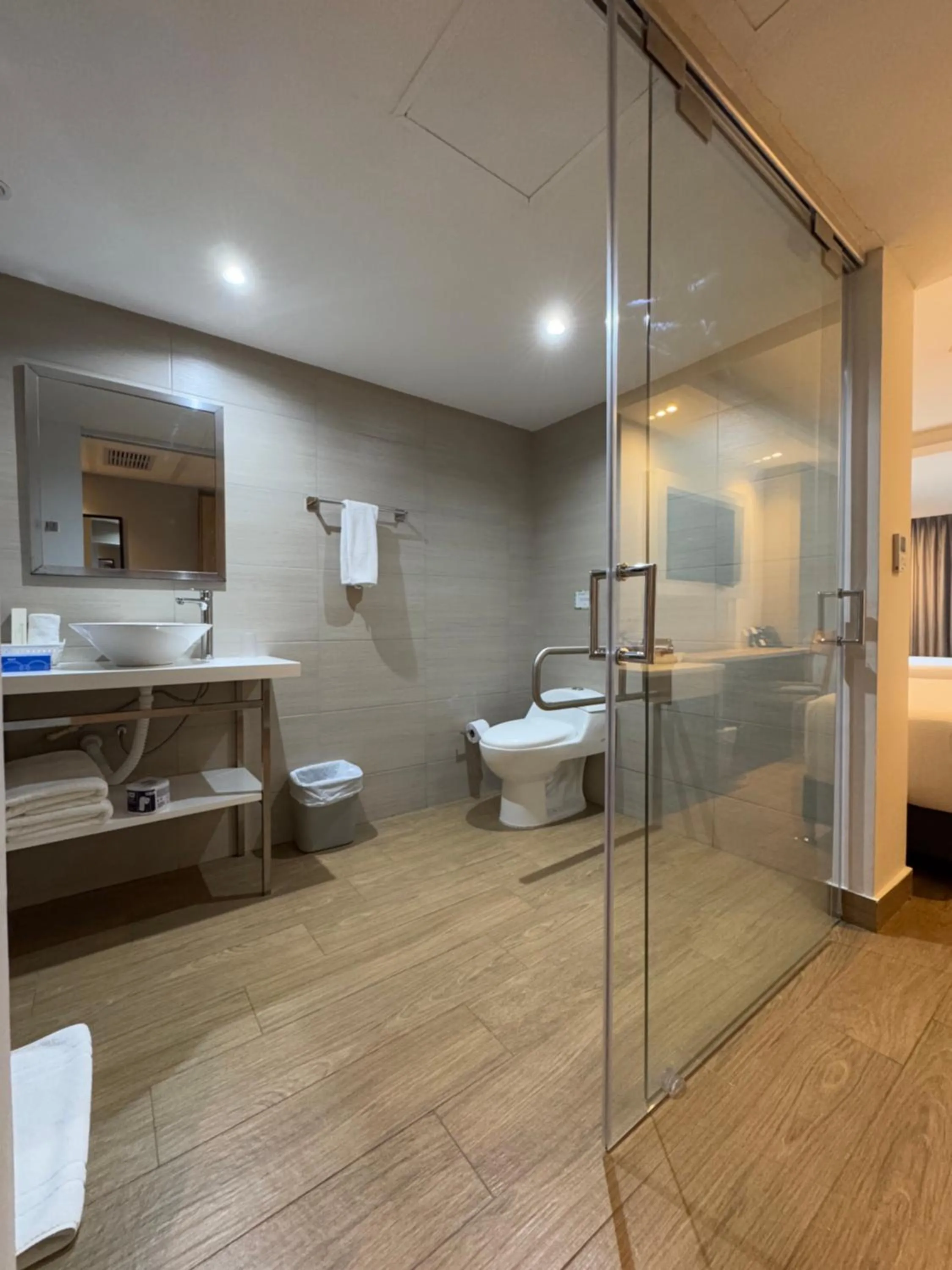 Toilet in Wyndham Garden Cartagena