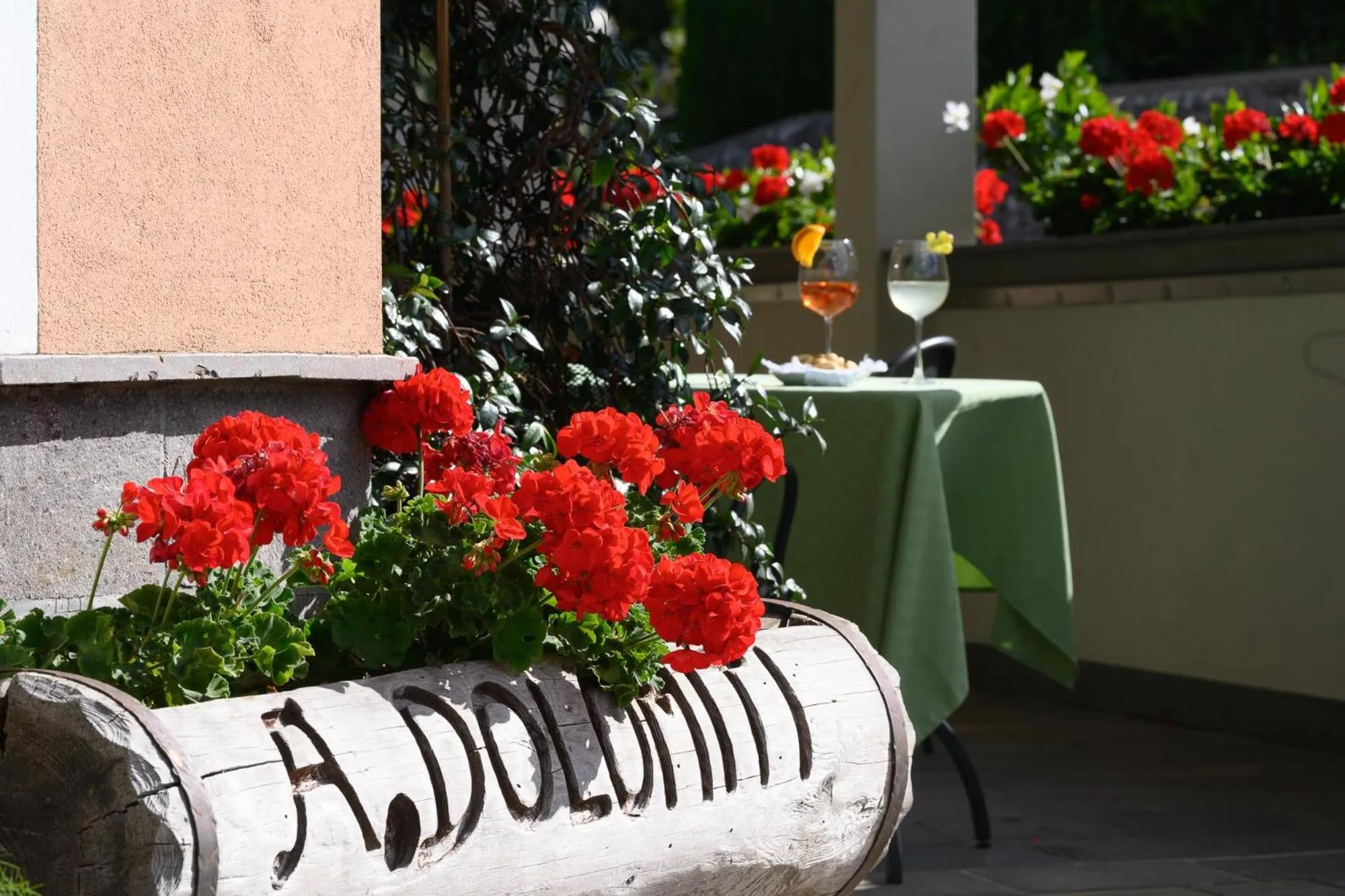 Patio in Hotel Dolomiti