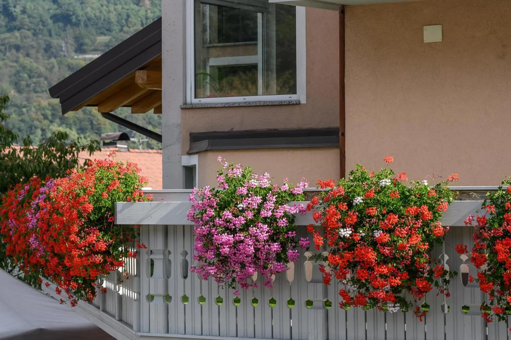 Property building in Hotel Dolomiti