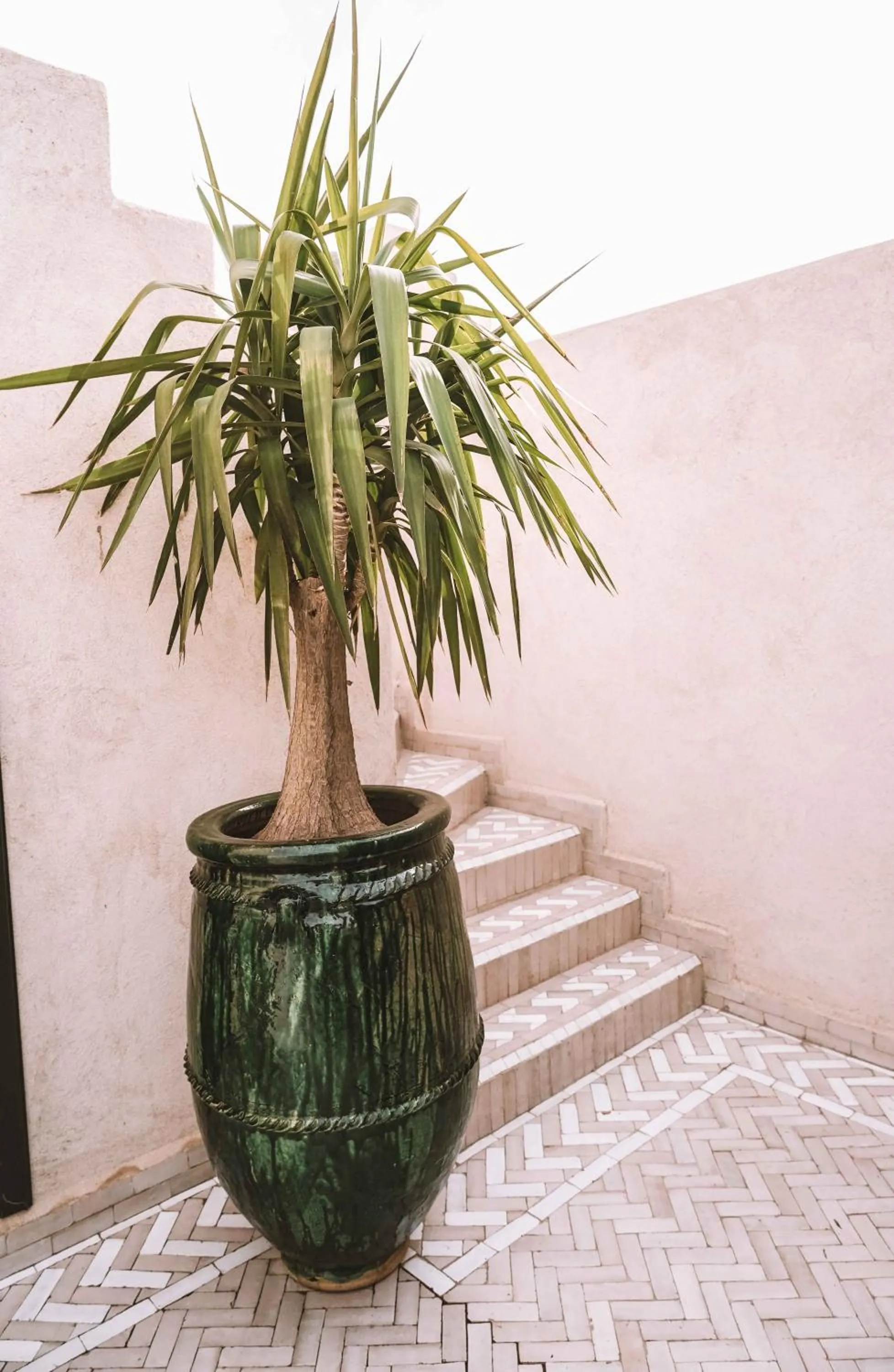 Patio in Hôtel Oasis Dakhla