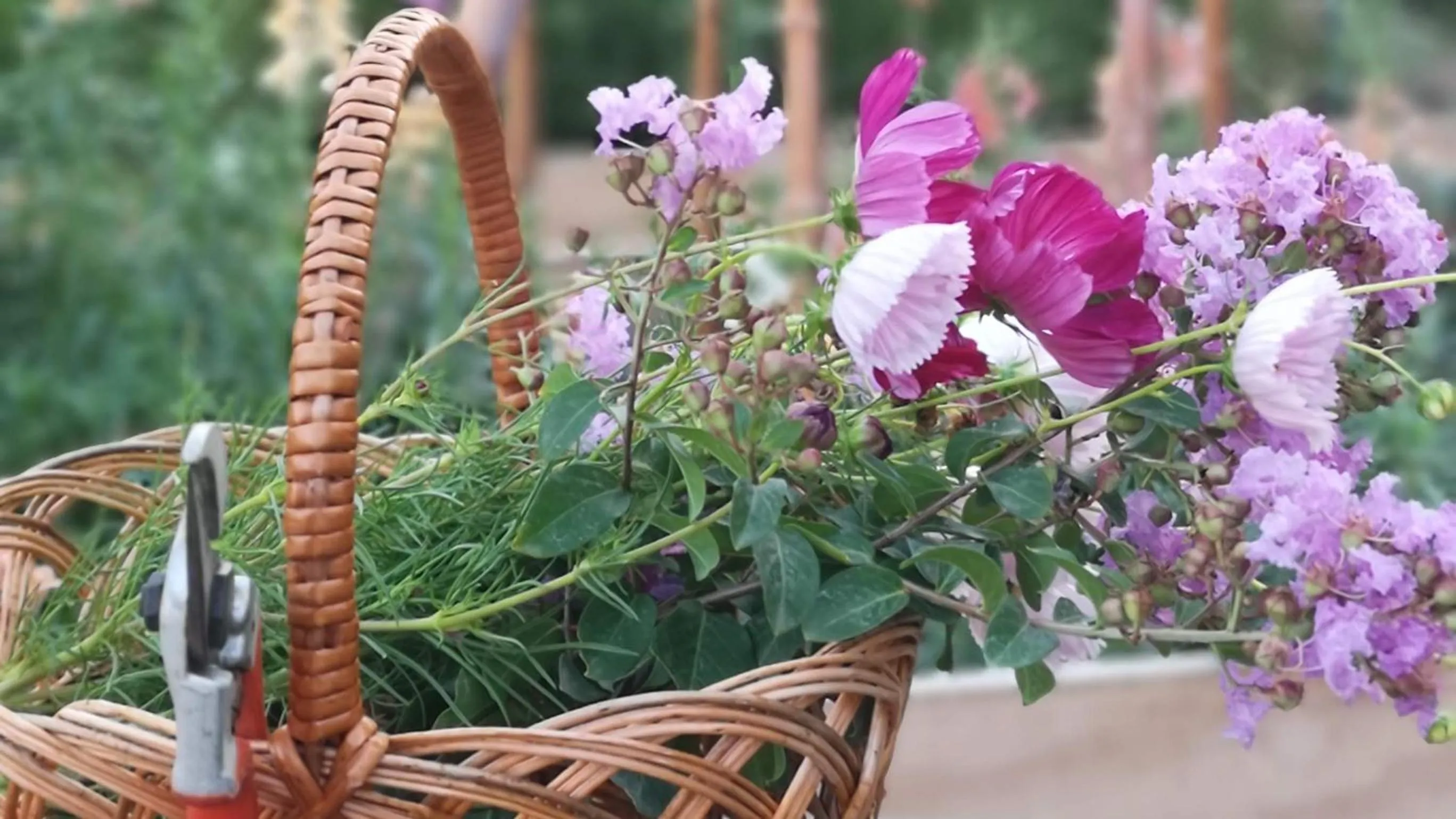 Garden in Villa di Piazzano - Small Luxury Hotels of the World