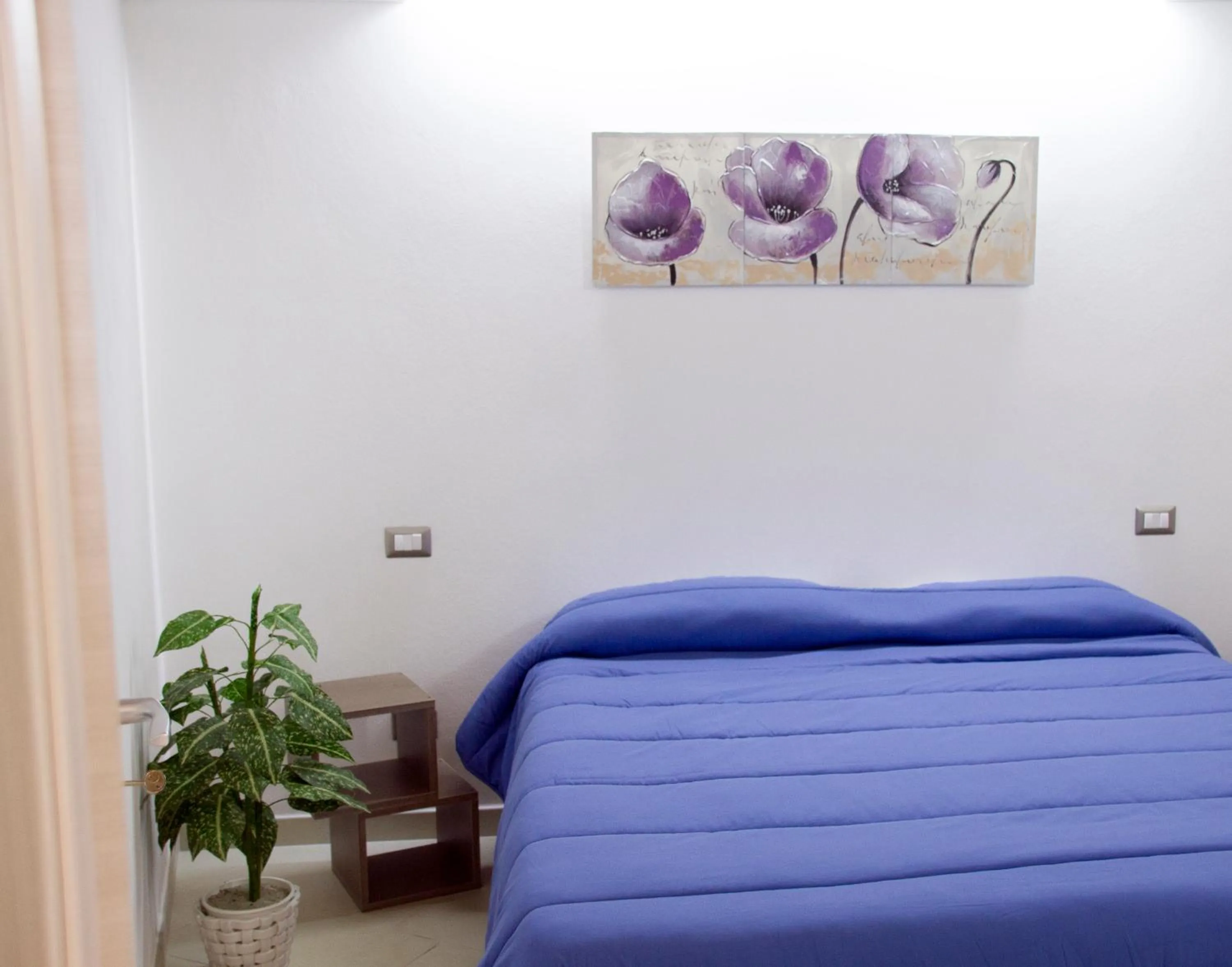 Photo of the whole room in Villa Garden