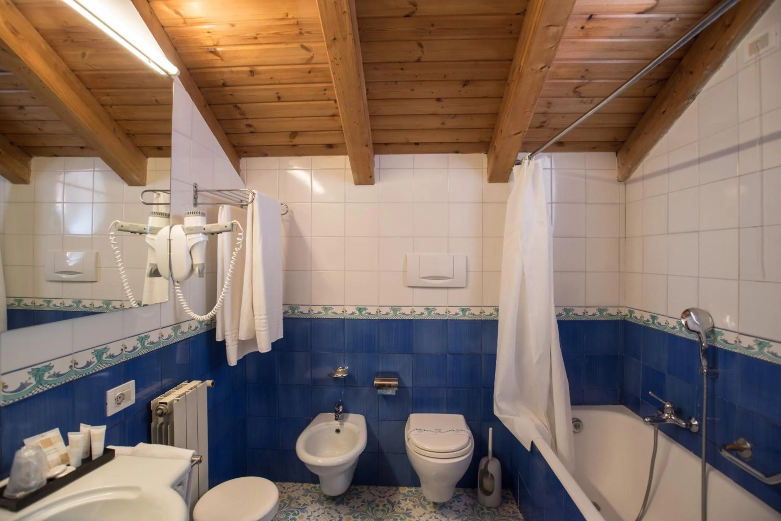 Toilet in Hotel Villa Maria