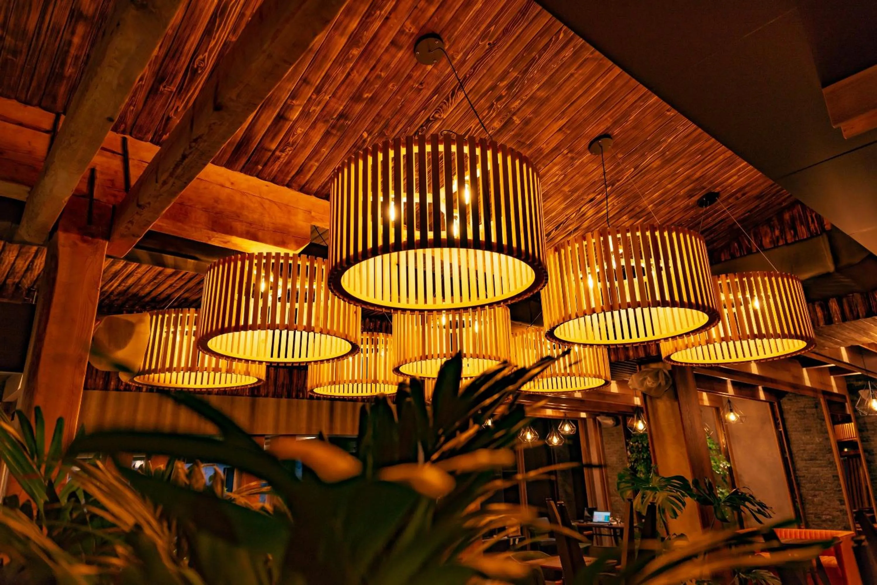 Restaurant/places to eat in Hotel Forest