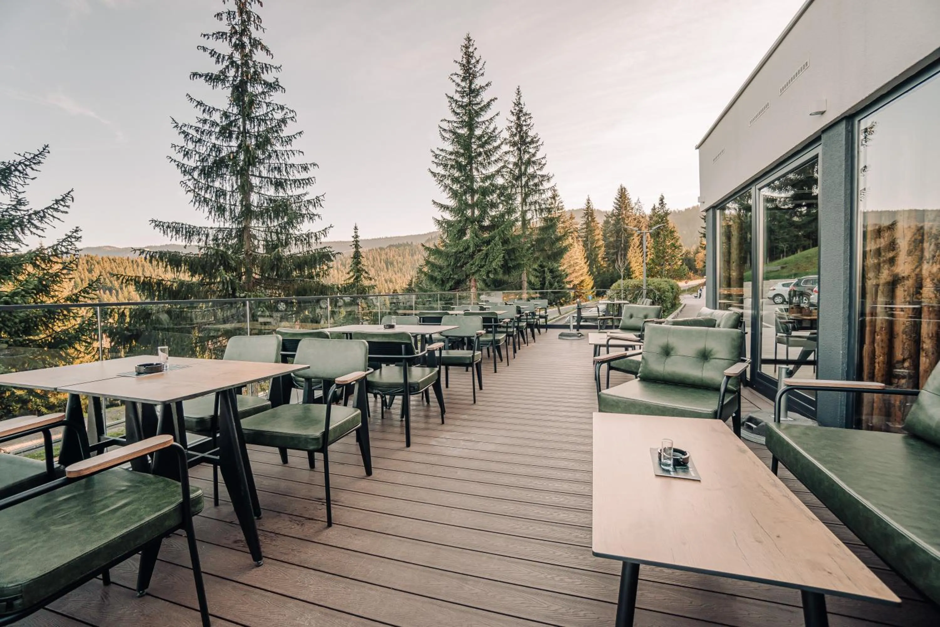 Restaurant/places to eat in Hotel Forest