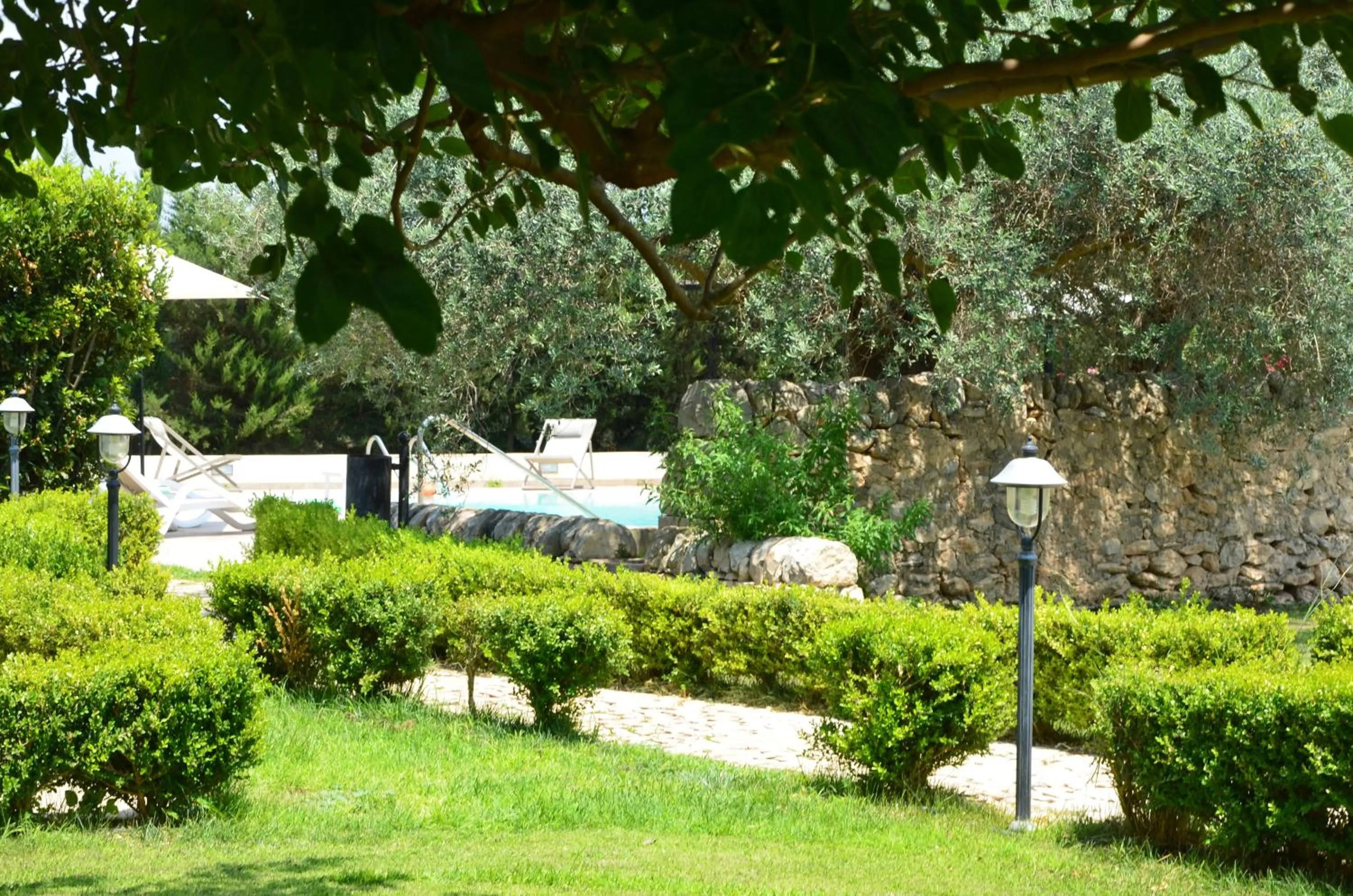 Garden in Serravalle Relais & Country Villa with private pool - Esclusive use