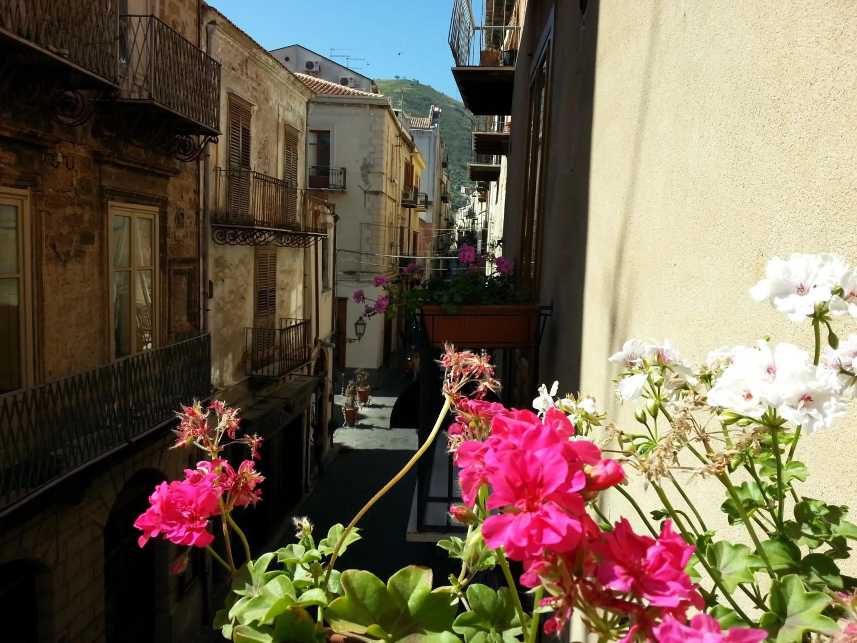 View (from property/room) in B&B Del Corso