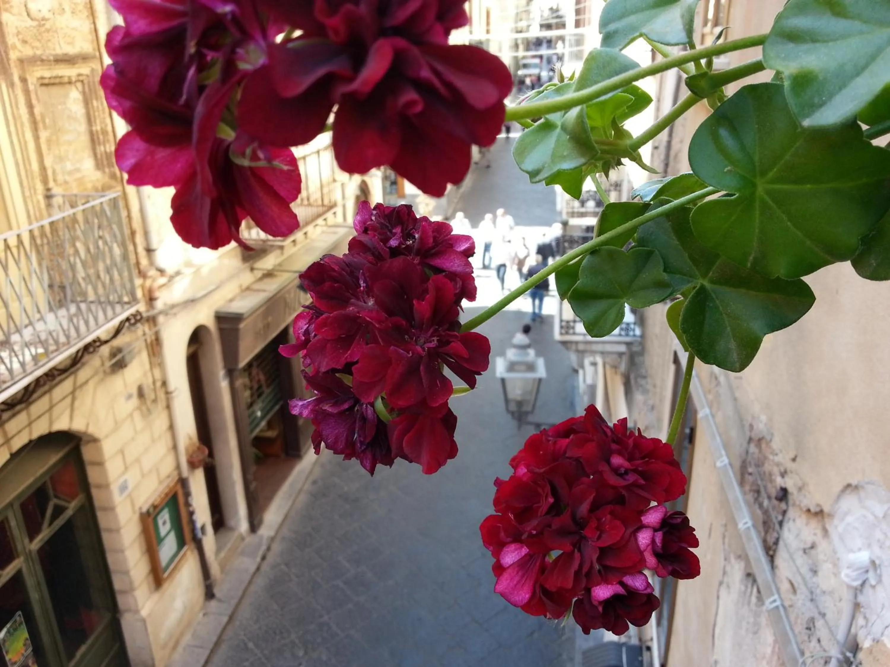 View (from property/room) in B&B Del Corso