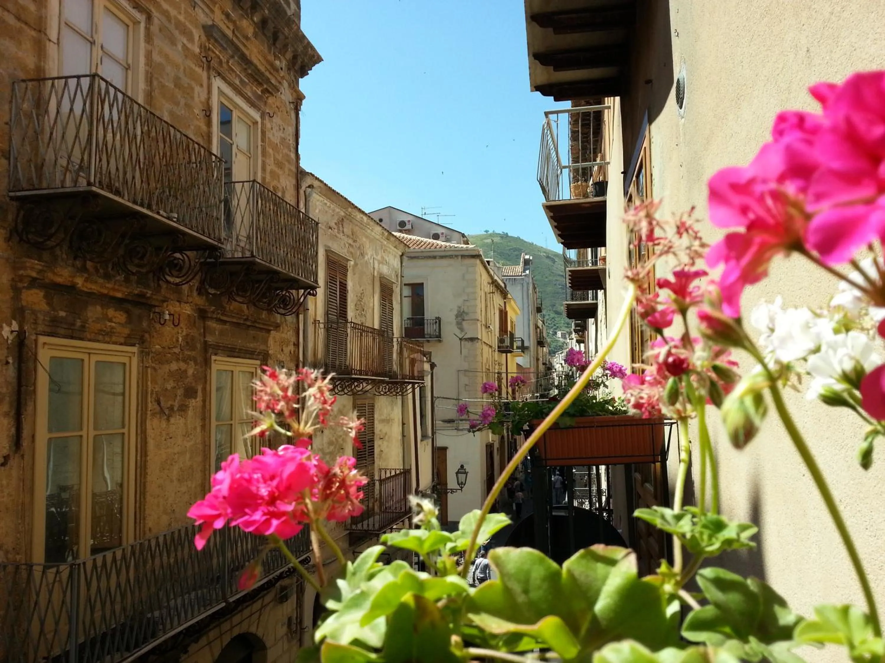 View (from property/room) in B&B Del Corso