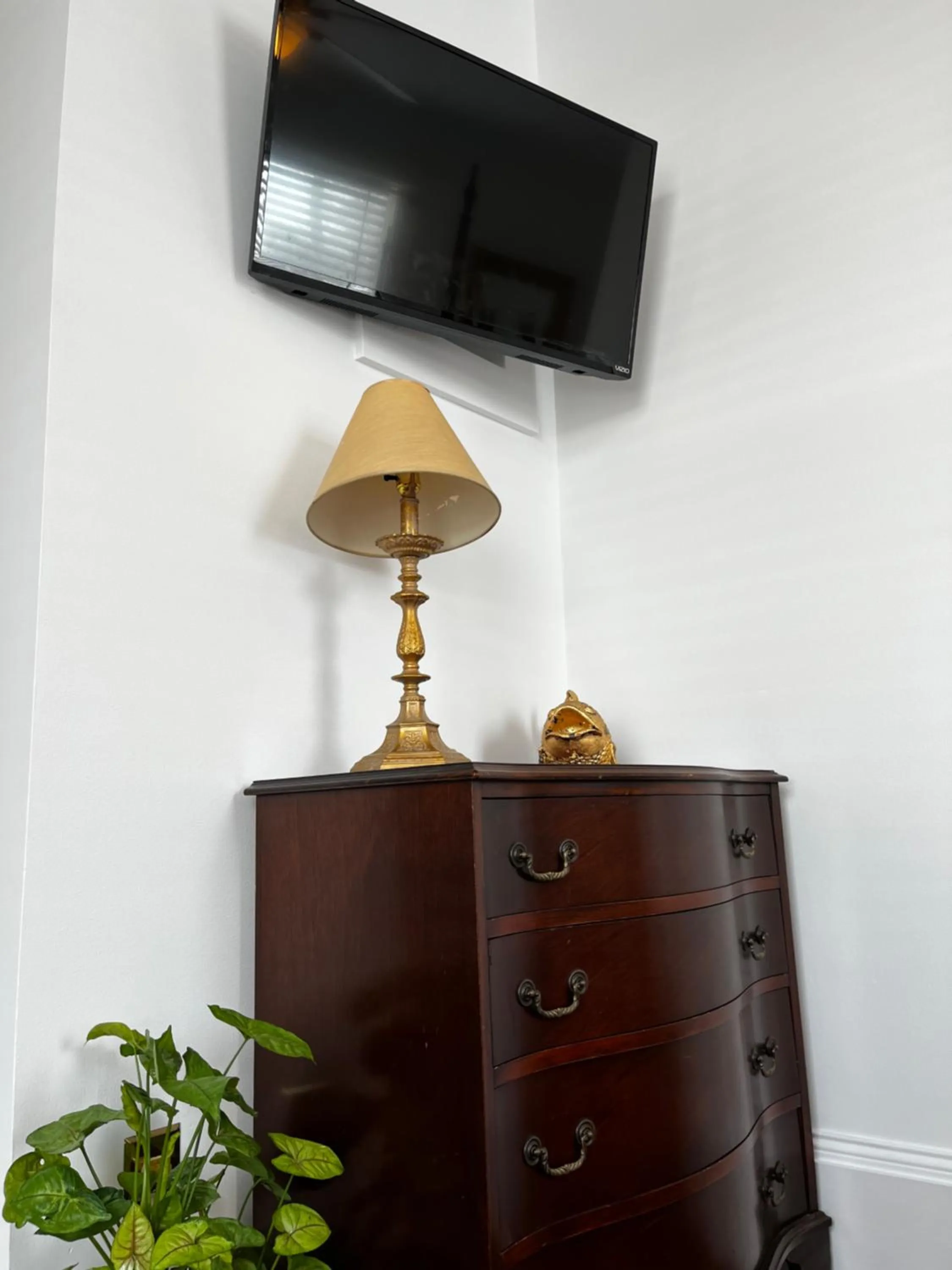 Queen Anne's Revenge