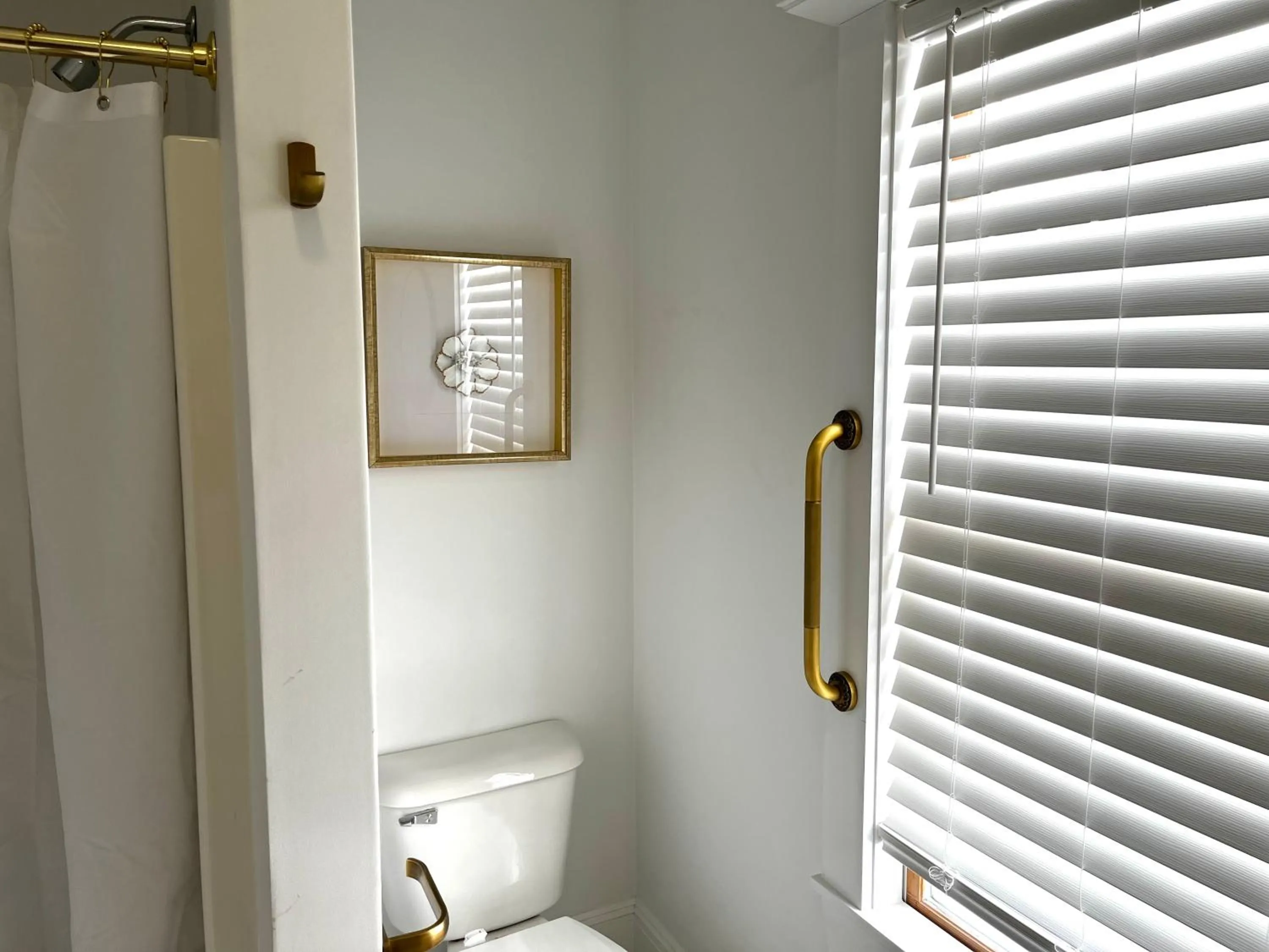 Queen Anne's Revenge