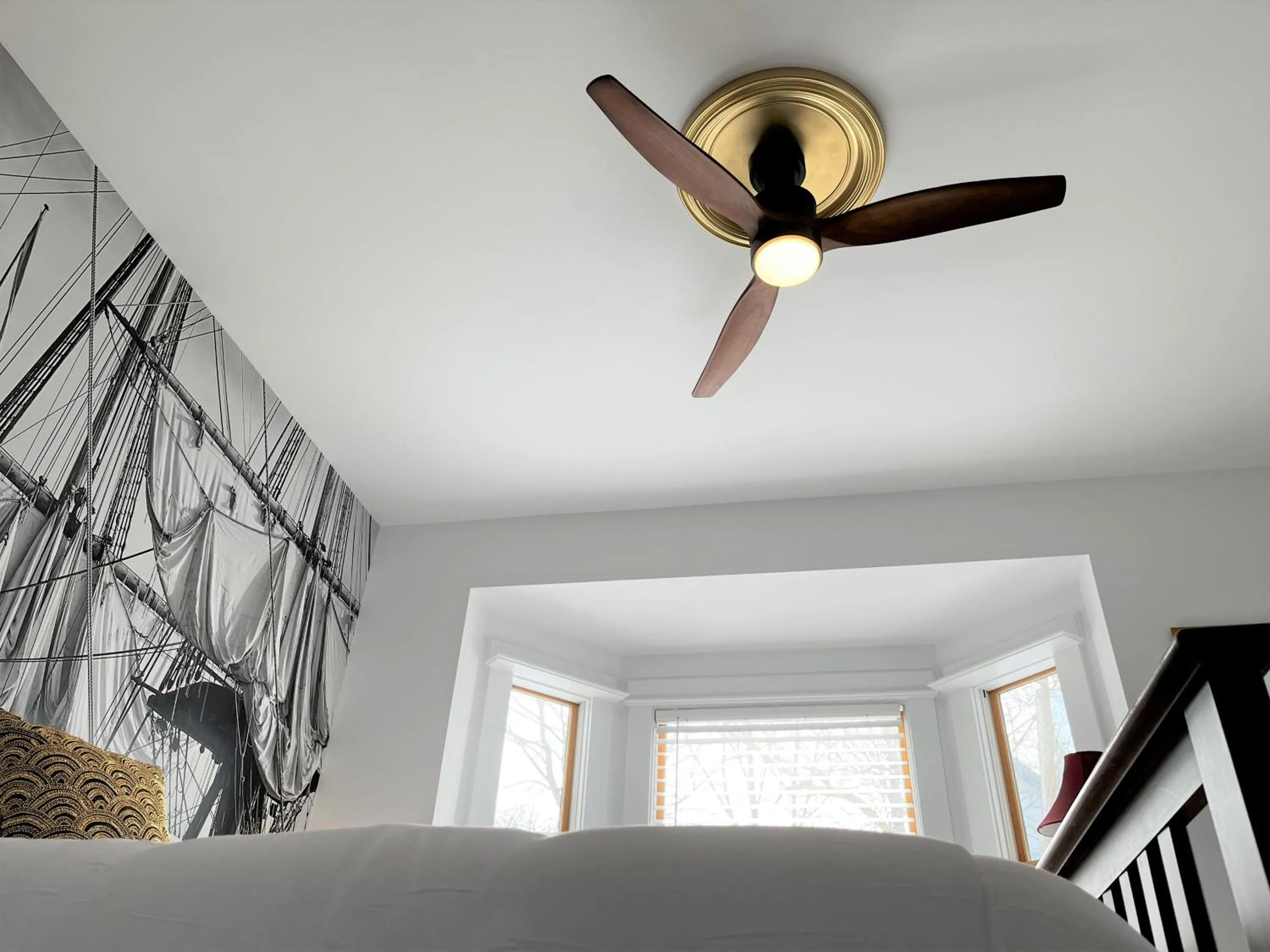 Queen Anne's Revenge