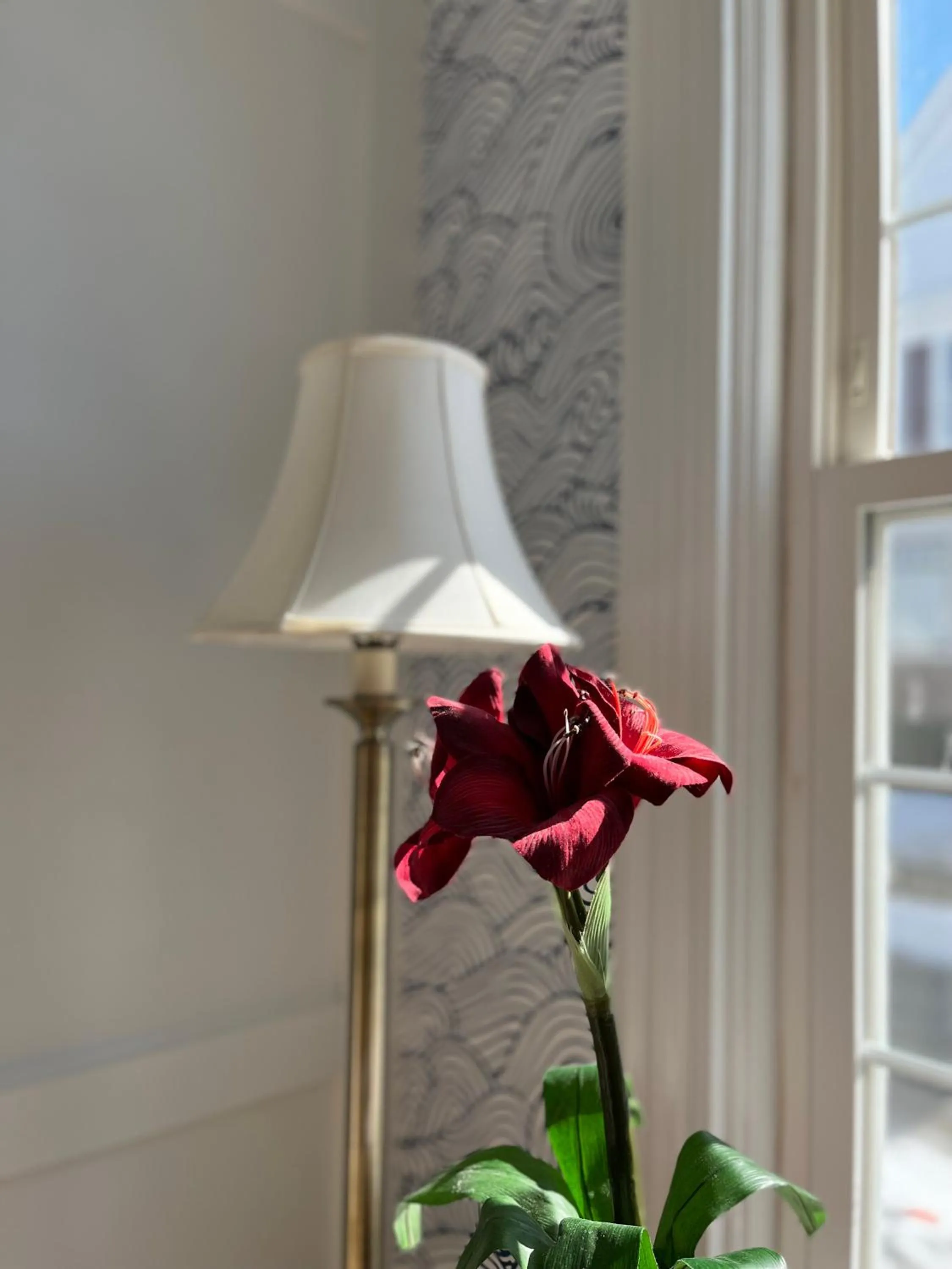 Queen Anne's Revenge