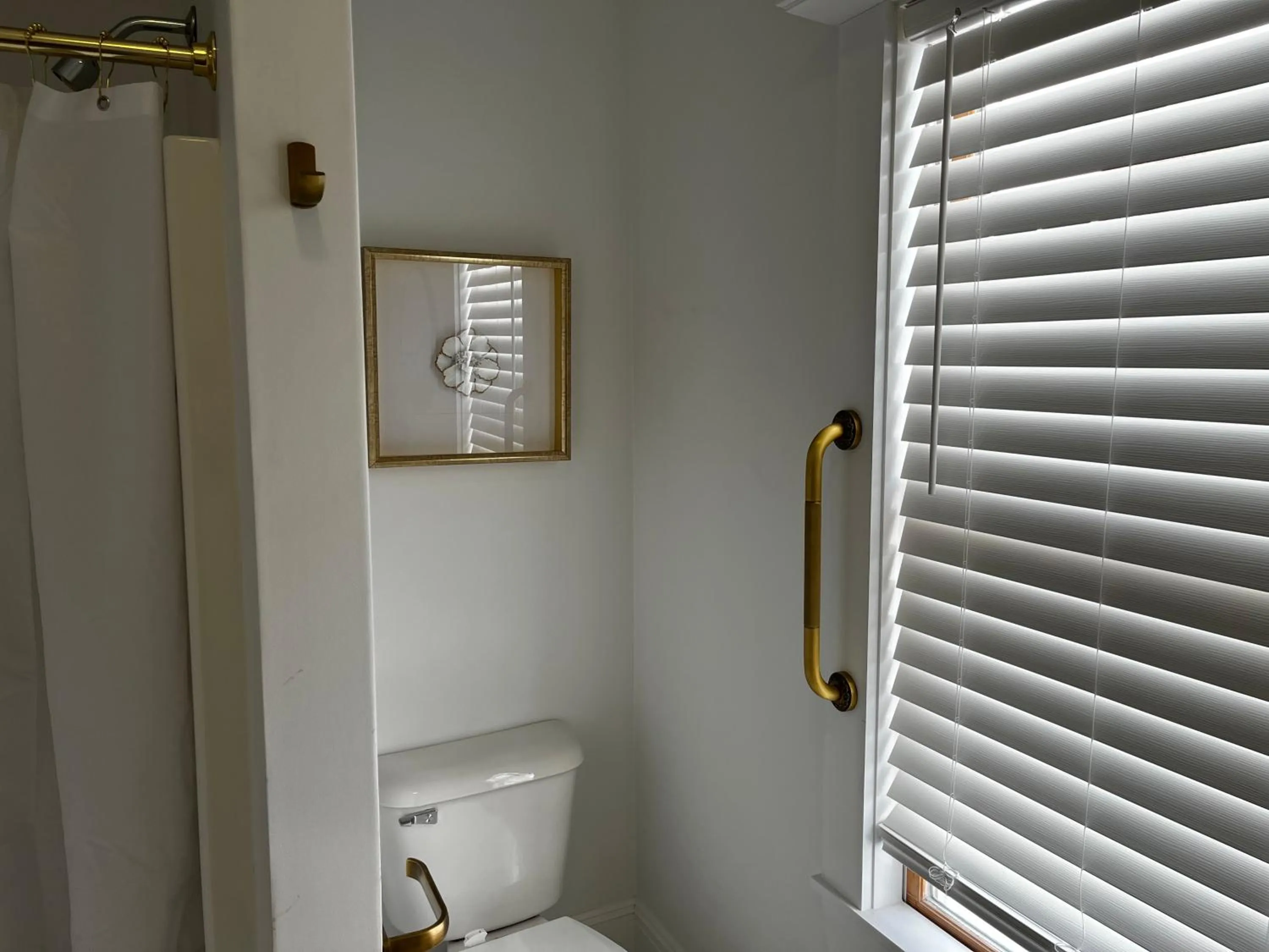 Queen Anne's Revenge