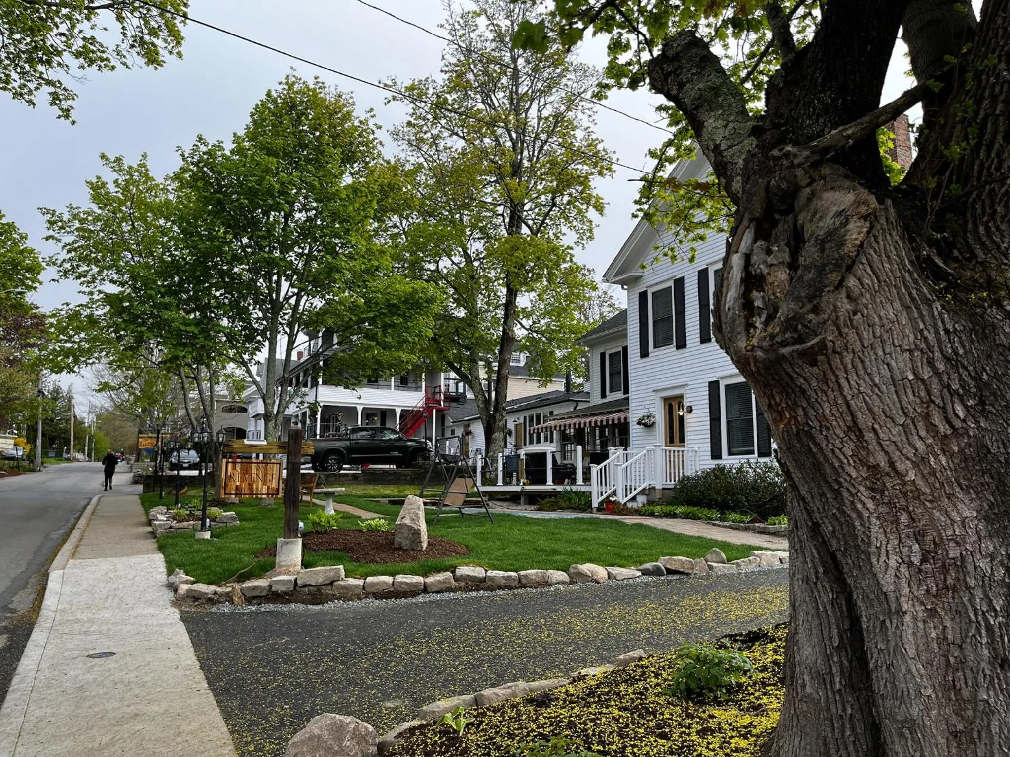 Queen Anne's Revenge