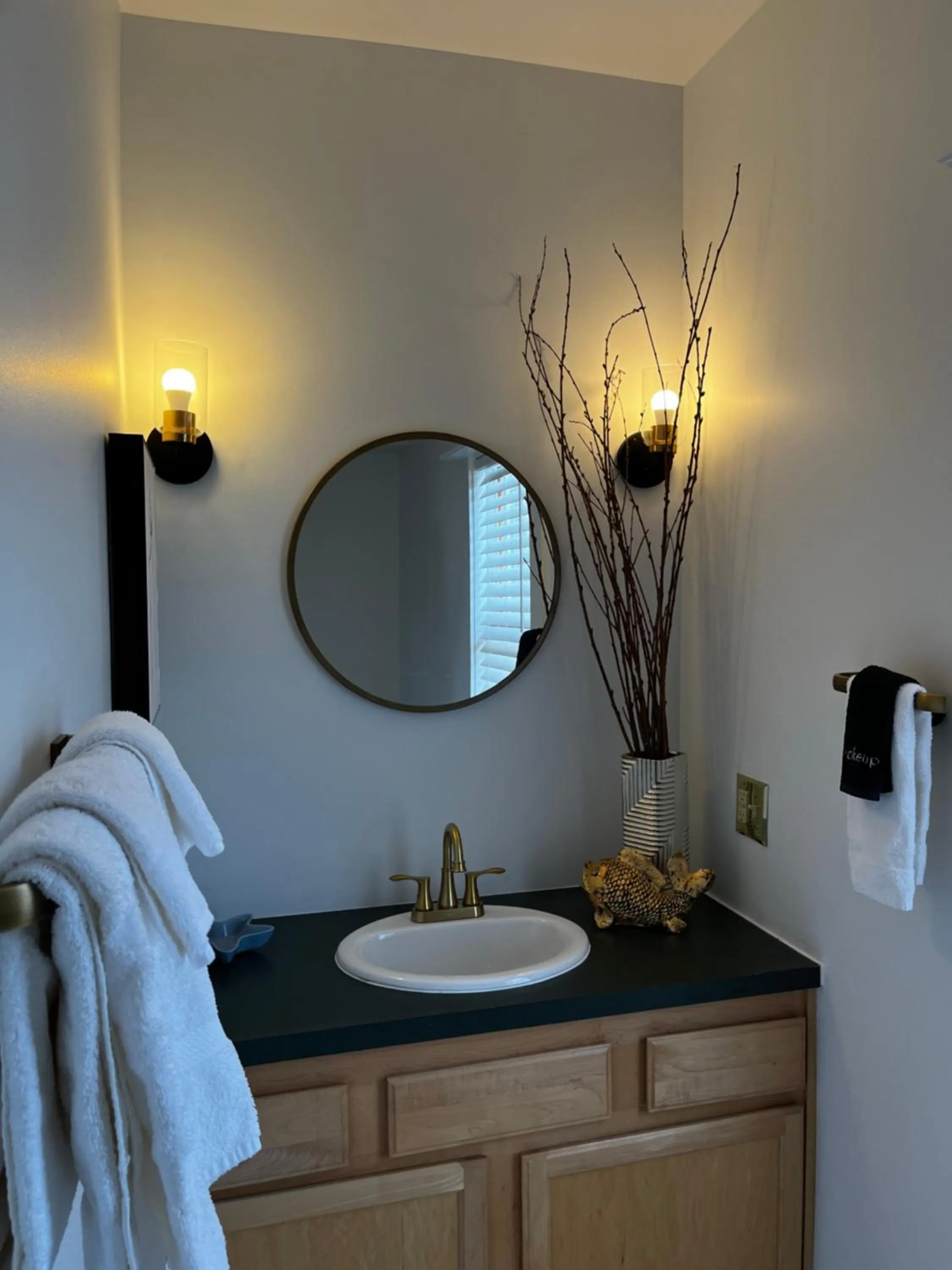 Queen Anne's Revenge