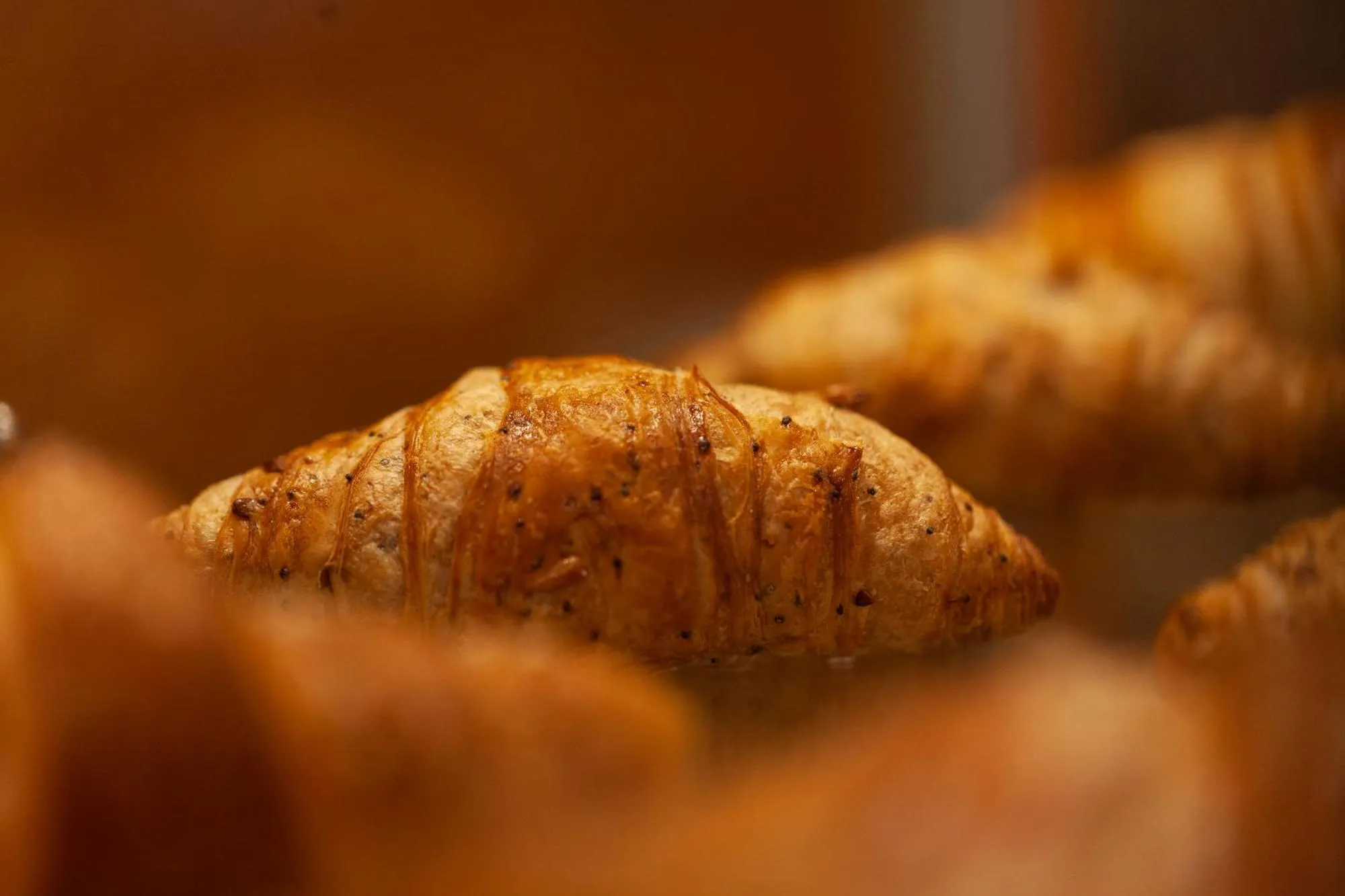 Food in City Life Hotel Poliziano, by R Collection Hotels