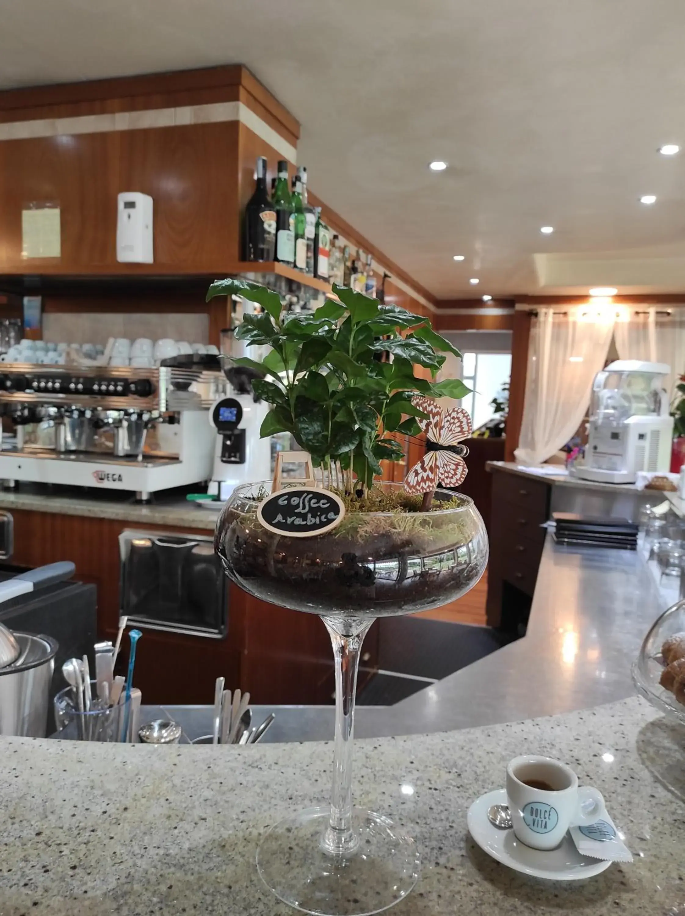 Restaurant/places to eat in Yachting Hotel Mistral Restaurant/places to eat in Yachting Hotel Mistral