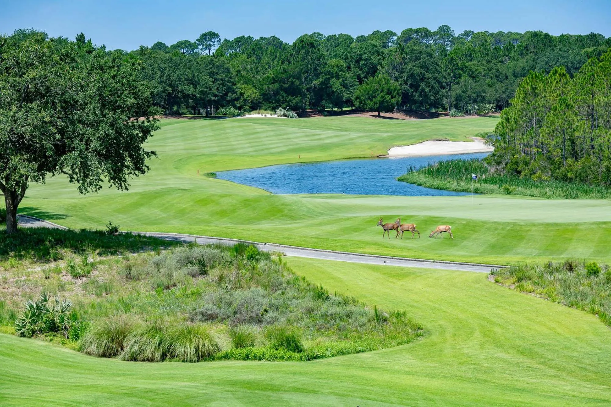 Golfcourse in Camp Creek Inn