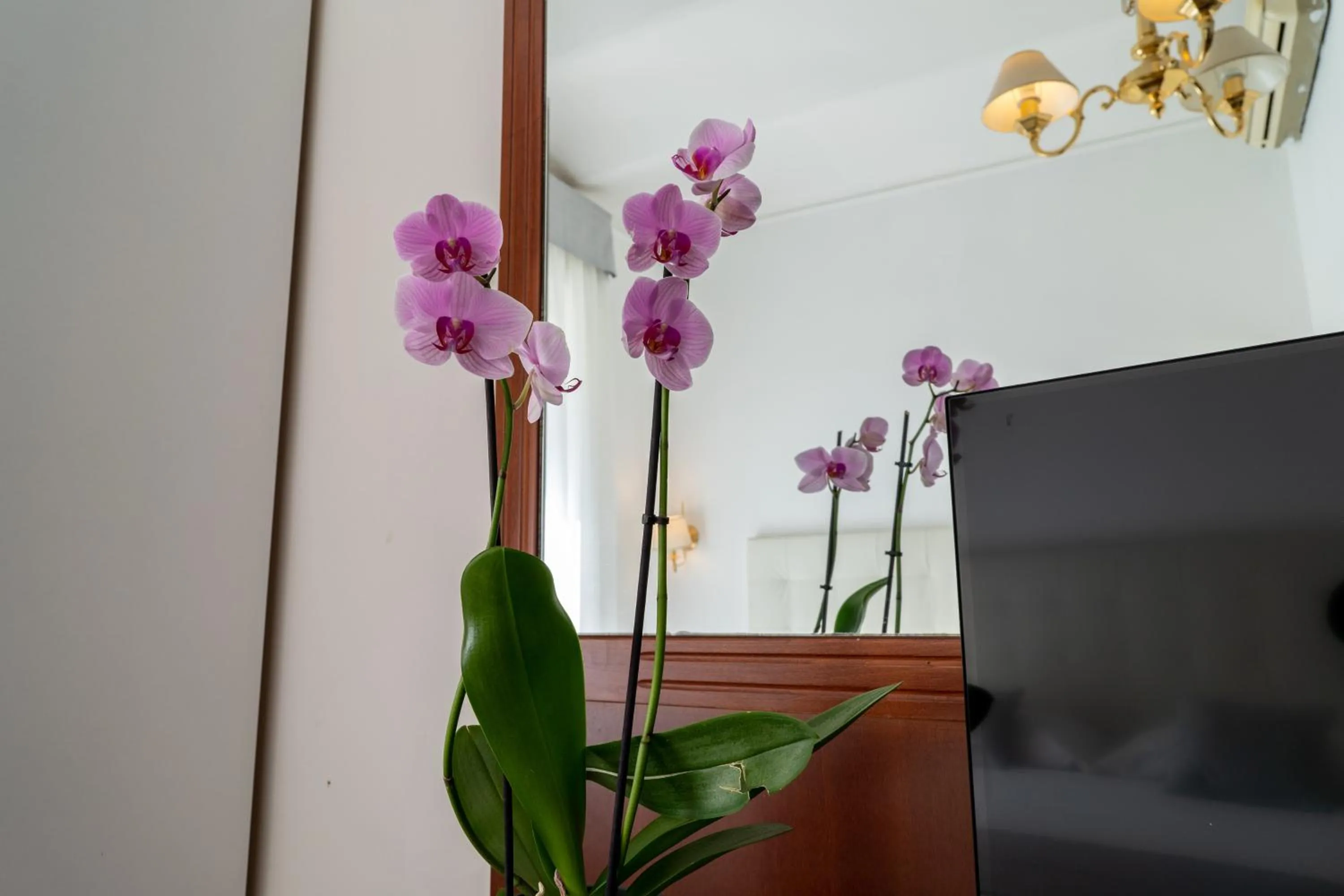 TV and multimedia in Hotel Gabriella