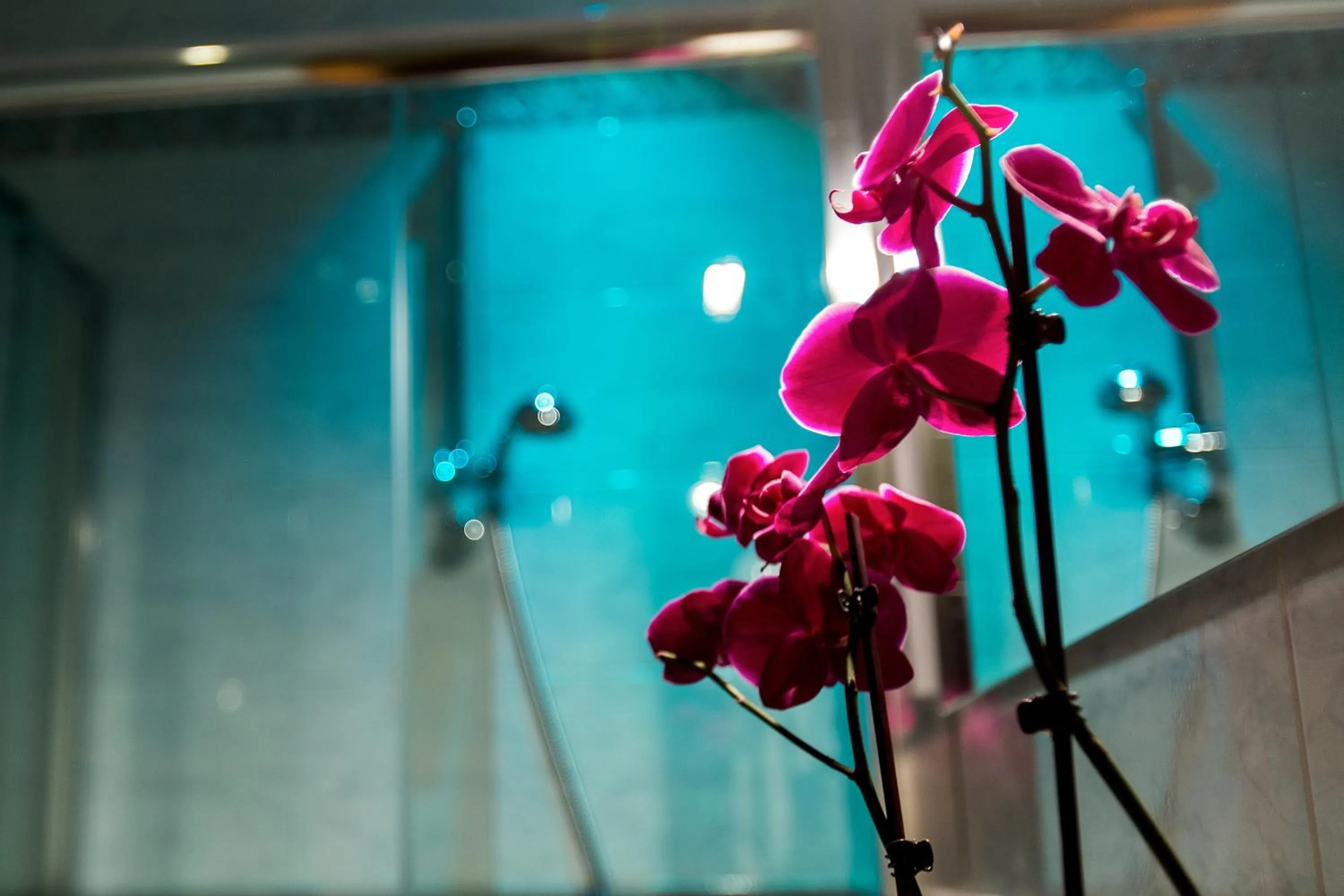 Decorative detail in Hotel Gabriella