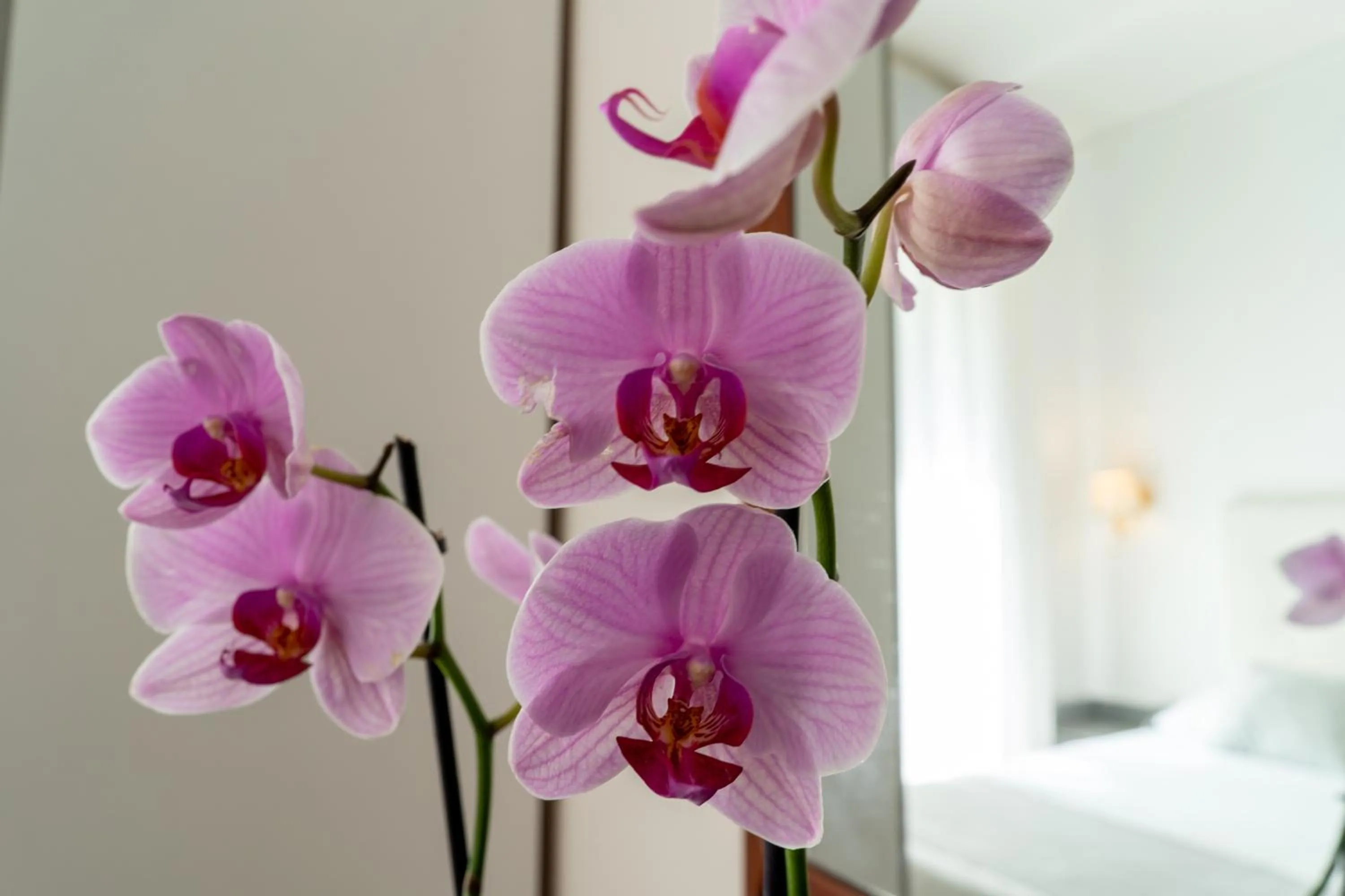 Decorative detail in Hotel Gabriella