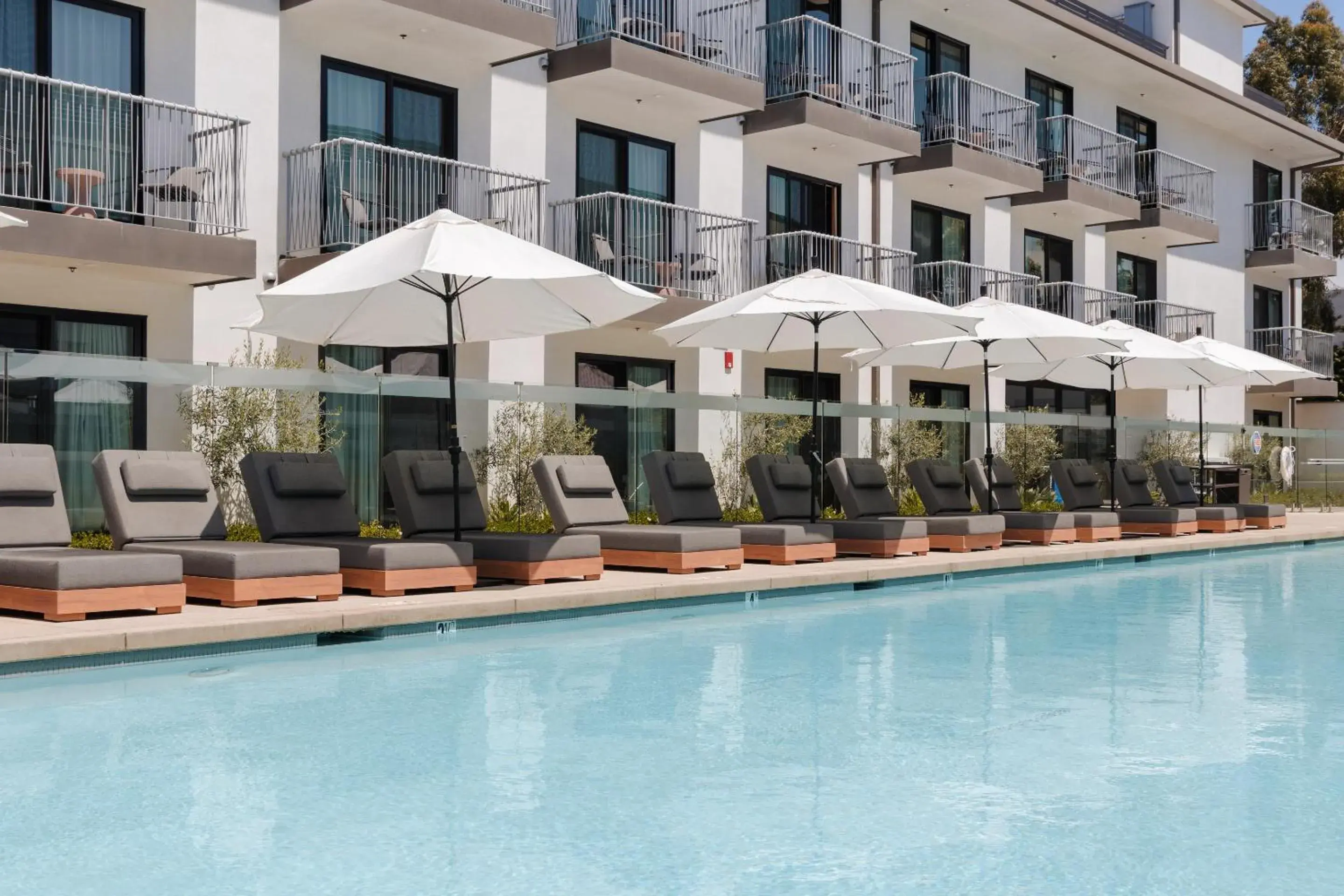Swimming pool in The Lum Hotel Los Angeles Stadium District Swimming pool in The Lum Hotel Los Angeles Stadium District