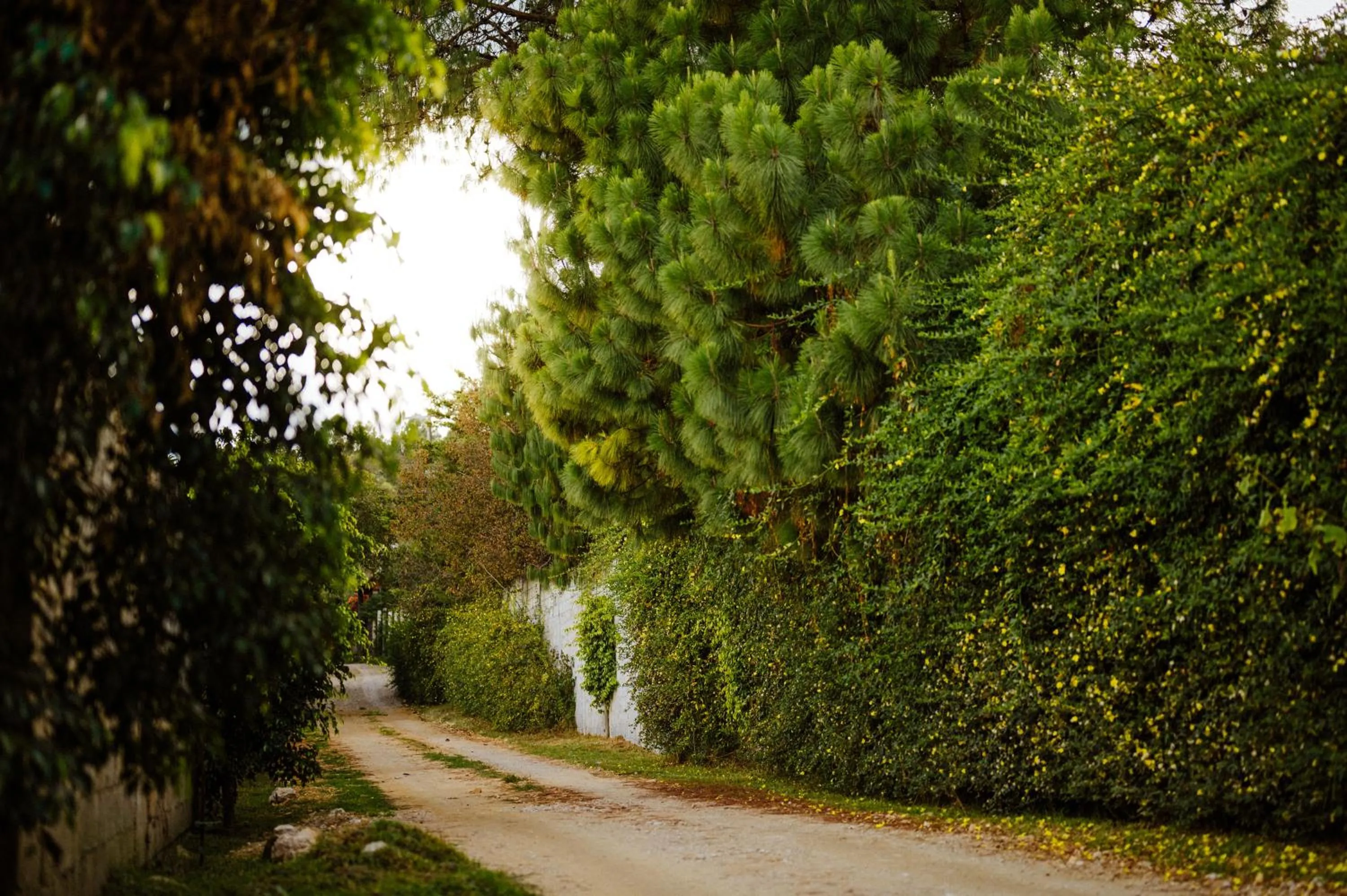 Natural landscape in Villas NA