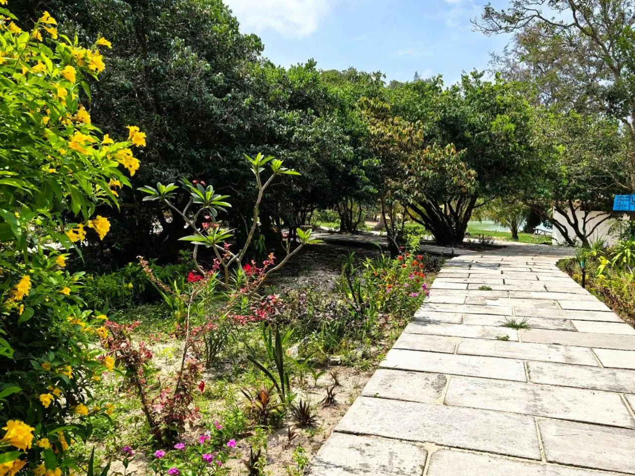 Garden in Lazy Beach
