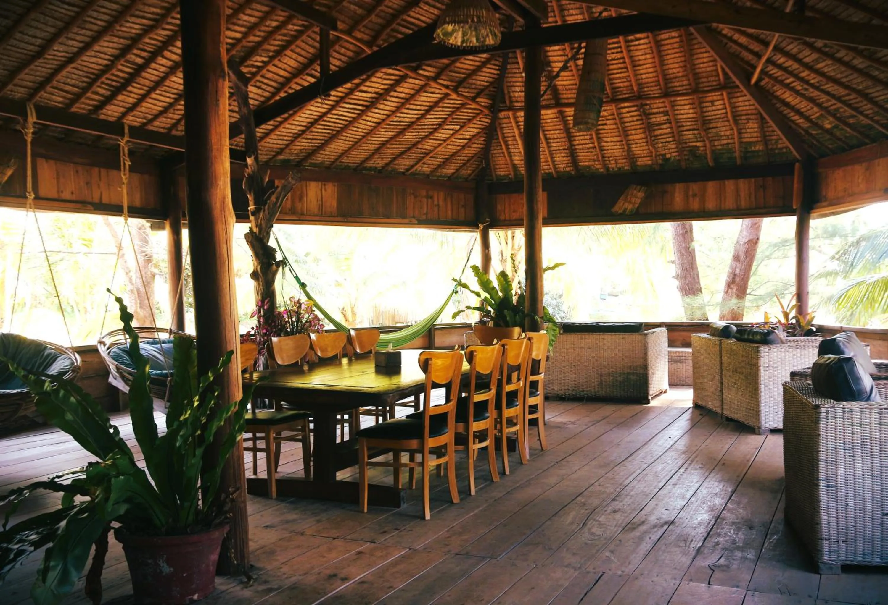 Restaurant/places to eat in Lazy Beach