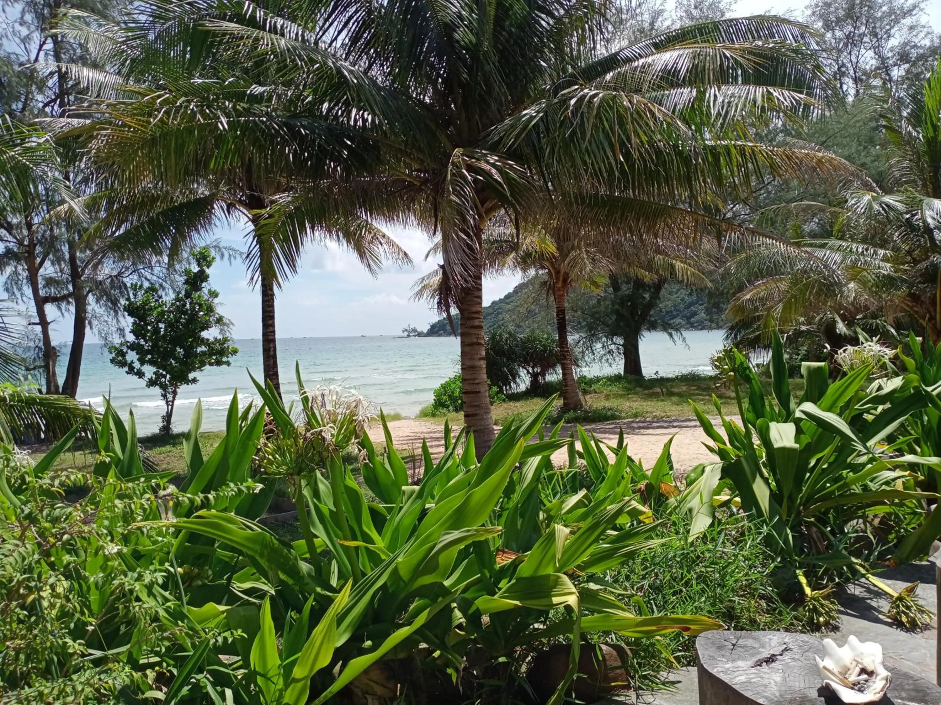 Garden view in Lazy Beach
