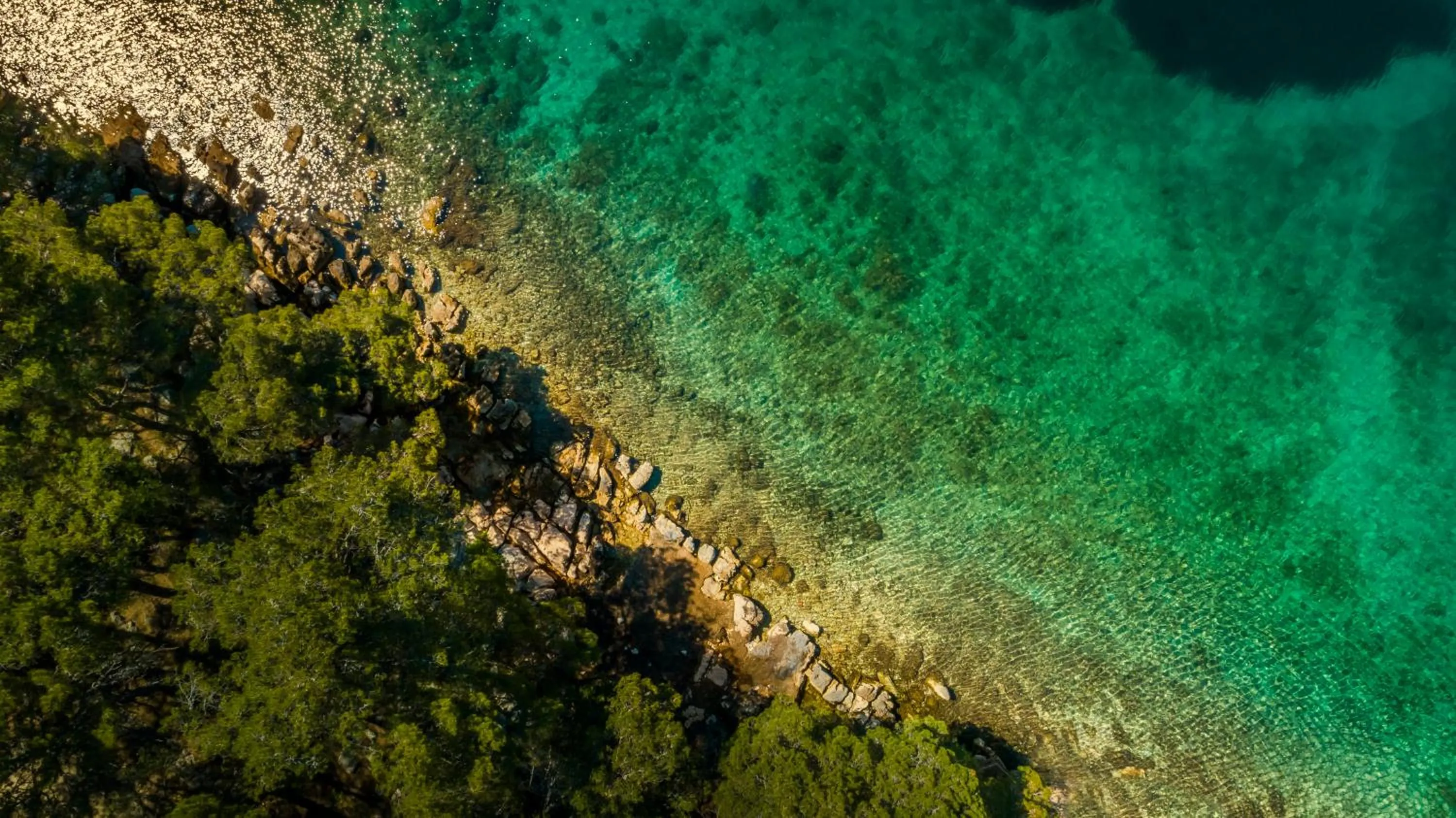 Beach in Valamar Amicor Resort