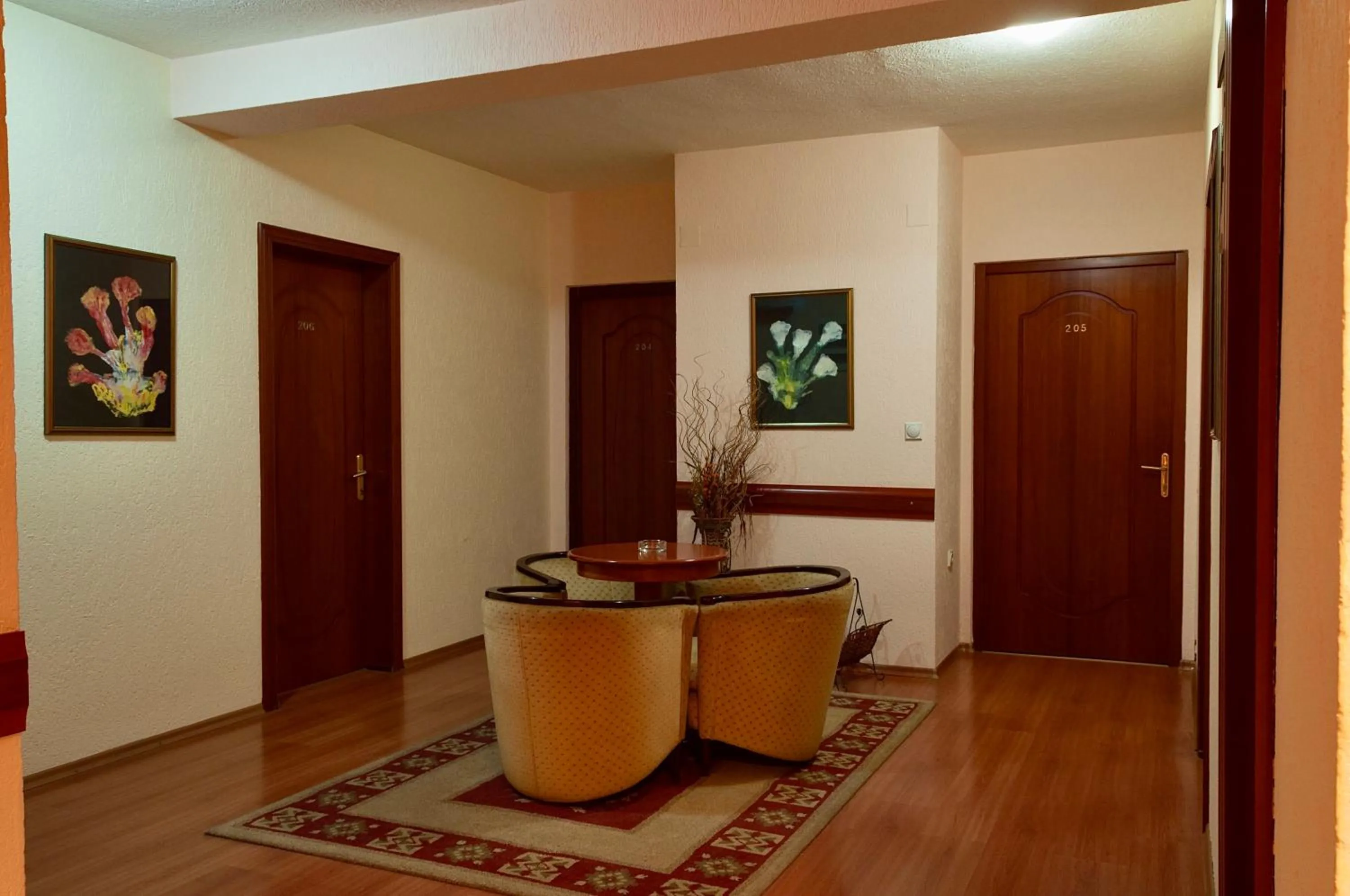 Seating area in Hotel Ilinden