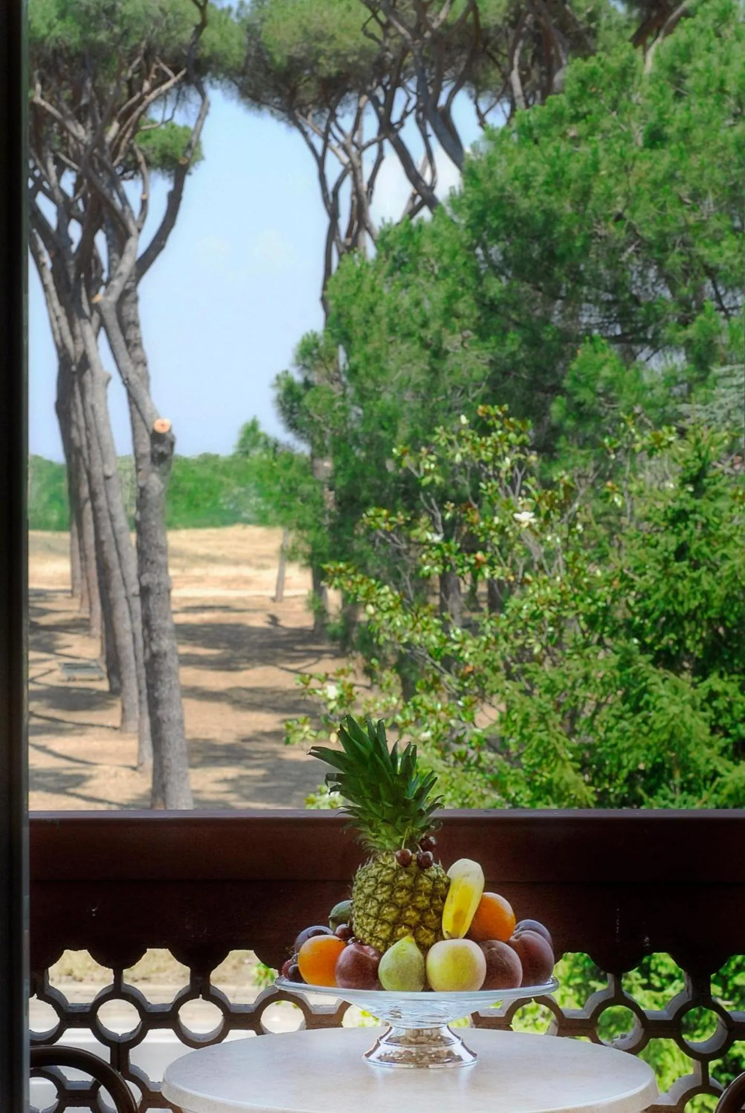 View (from property/room) in Pinewood Hotel Rome