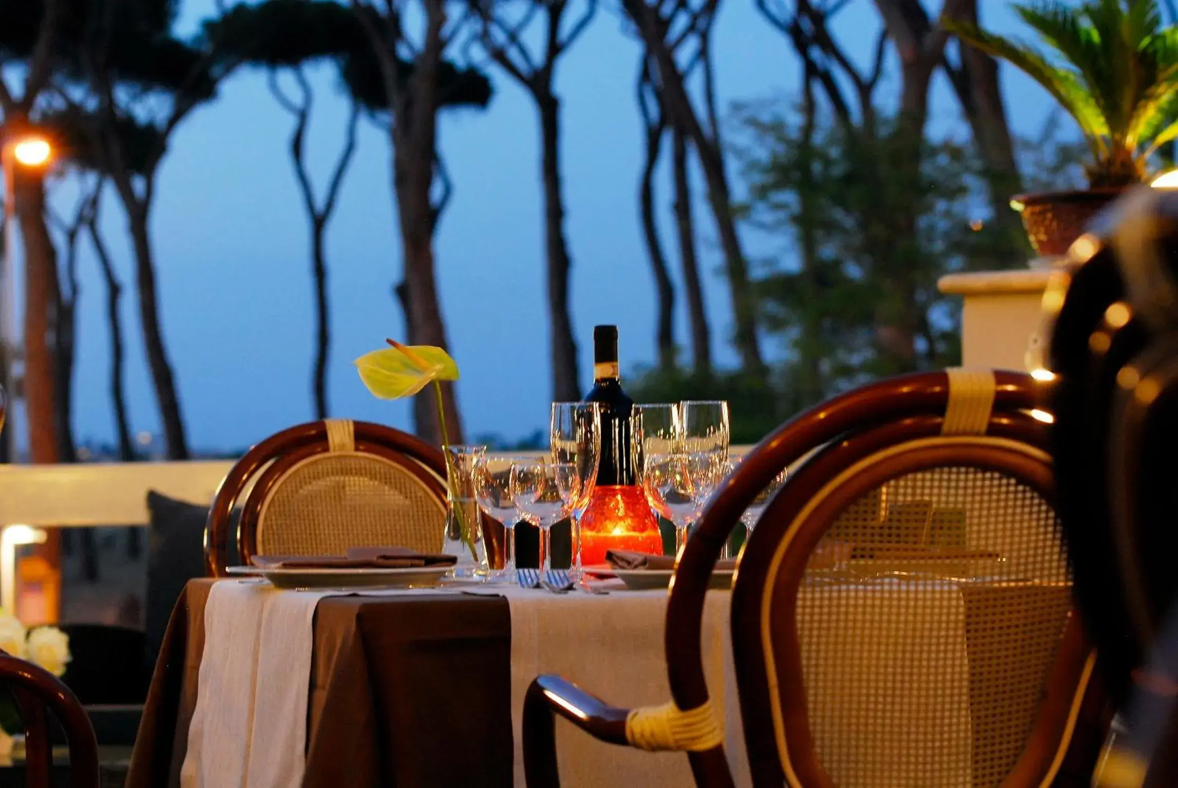 Restaurant/places to eat in Pinewood Hotel Rome Restaurant/places to eat in Pinewood Hotel Rome