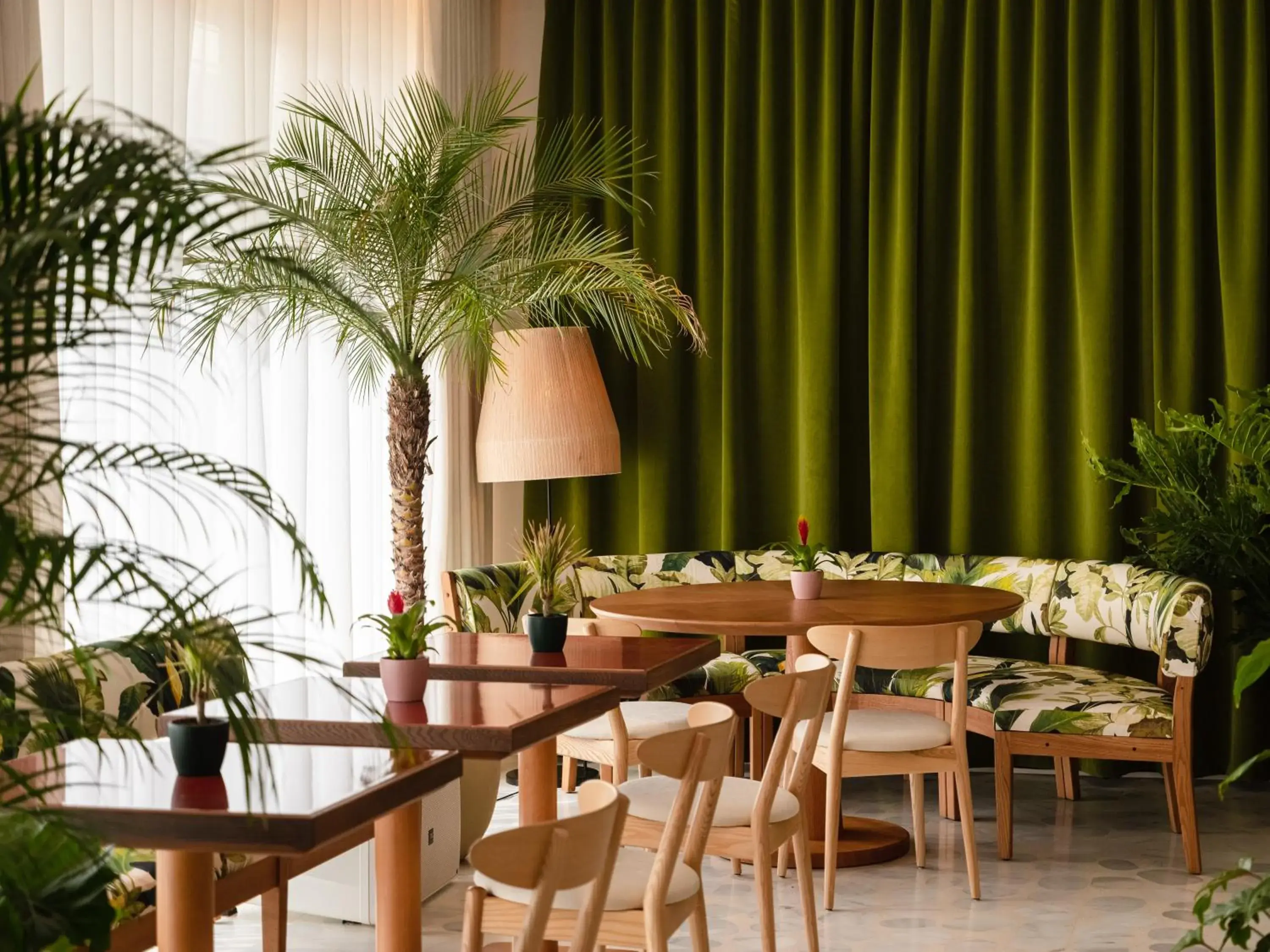 Restaurant/places to eat in The Standard, Ibiza Restaurant/places to eat in The Standard, Ibiza