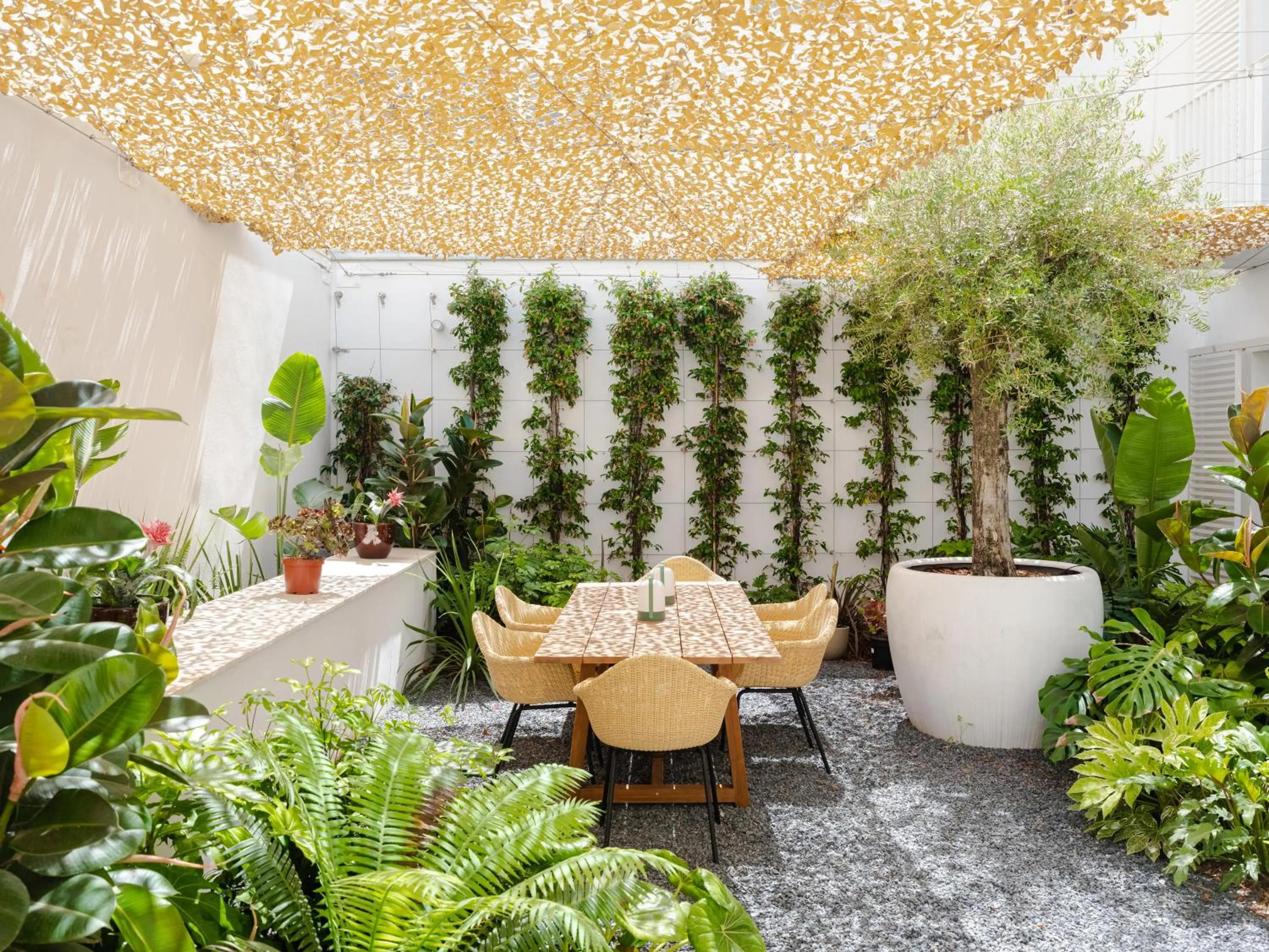 Garden in The Standard, Ibiza