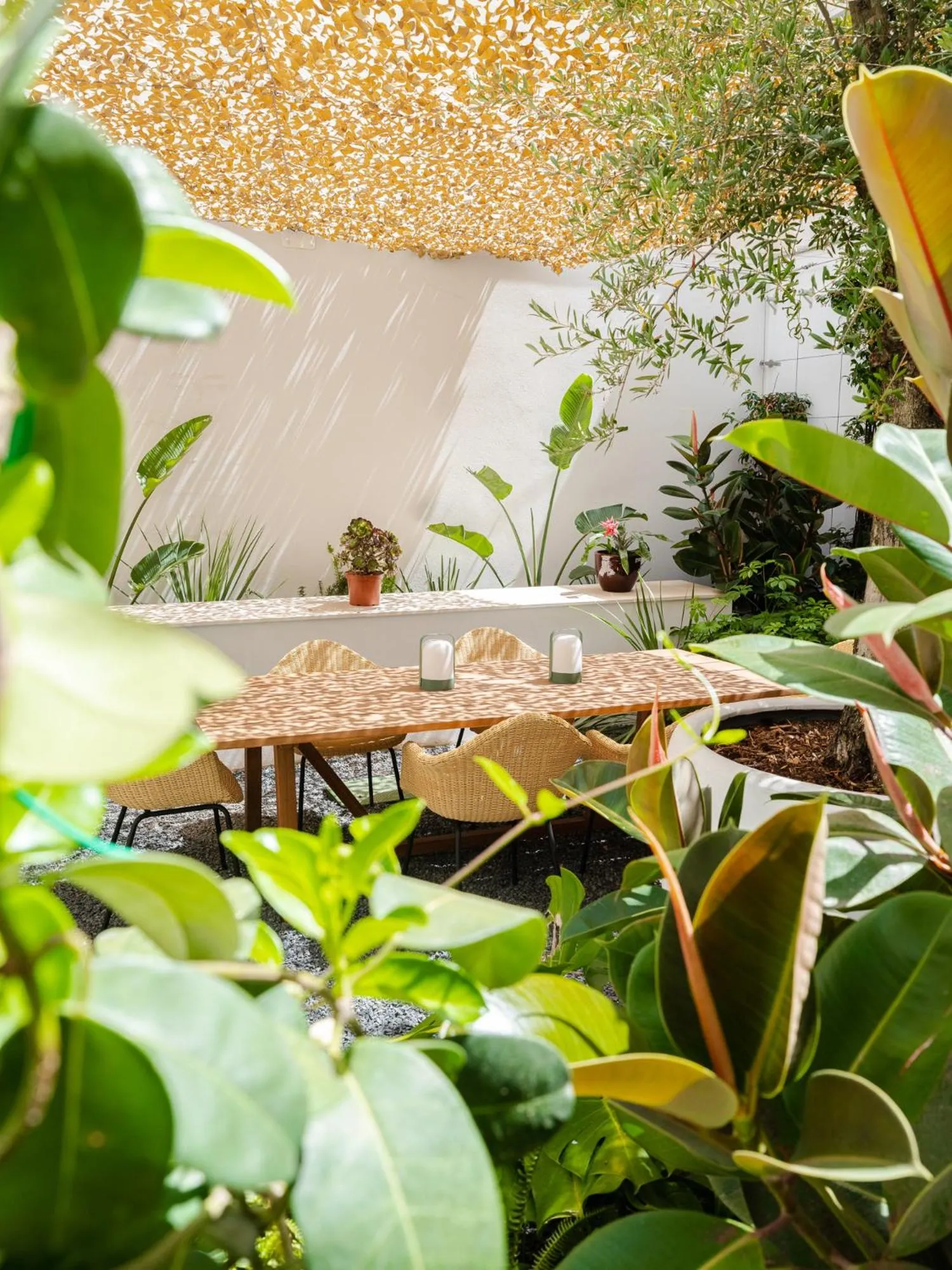 Patio in The Standard, Ibiza