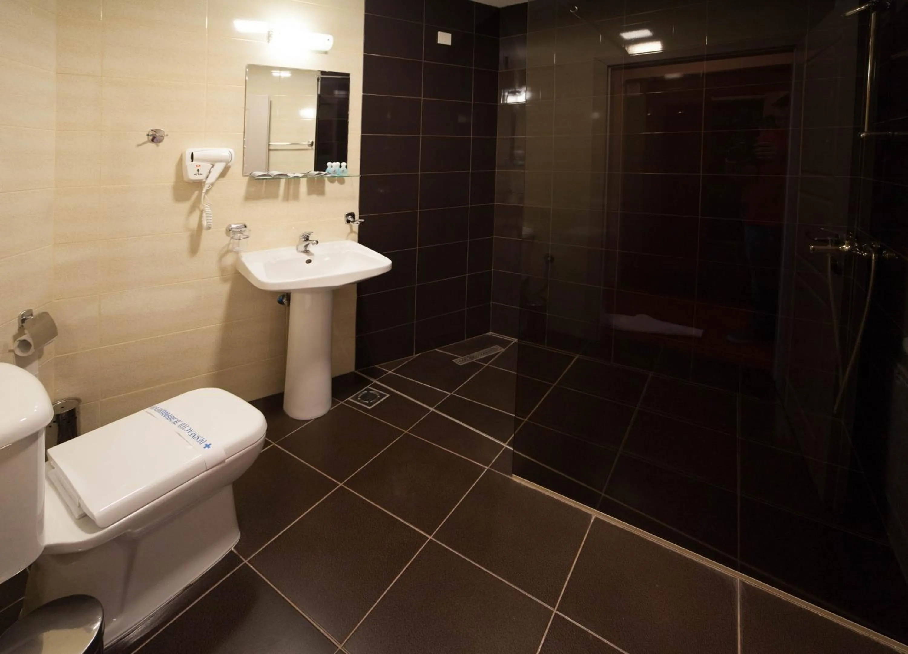 Bathroom in Hotel Lebed