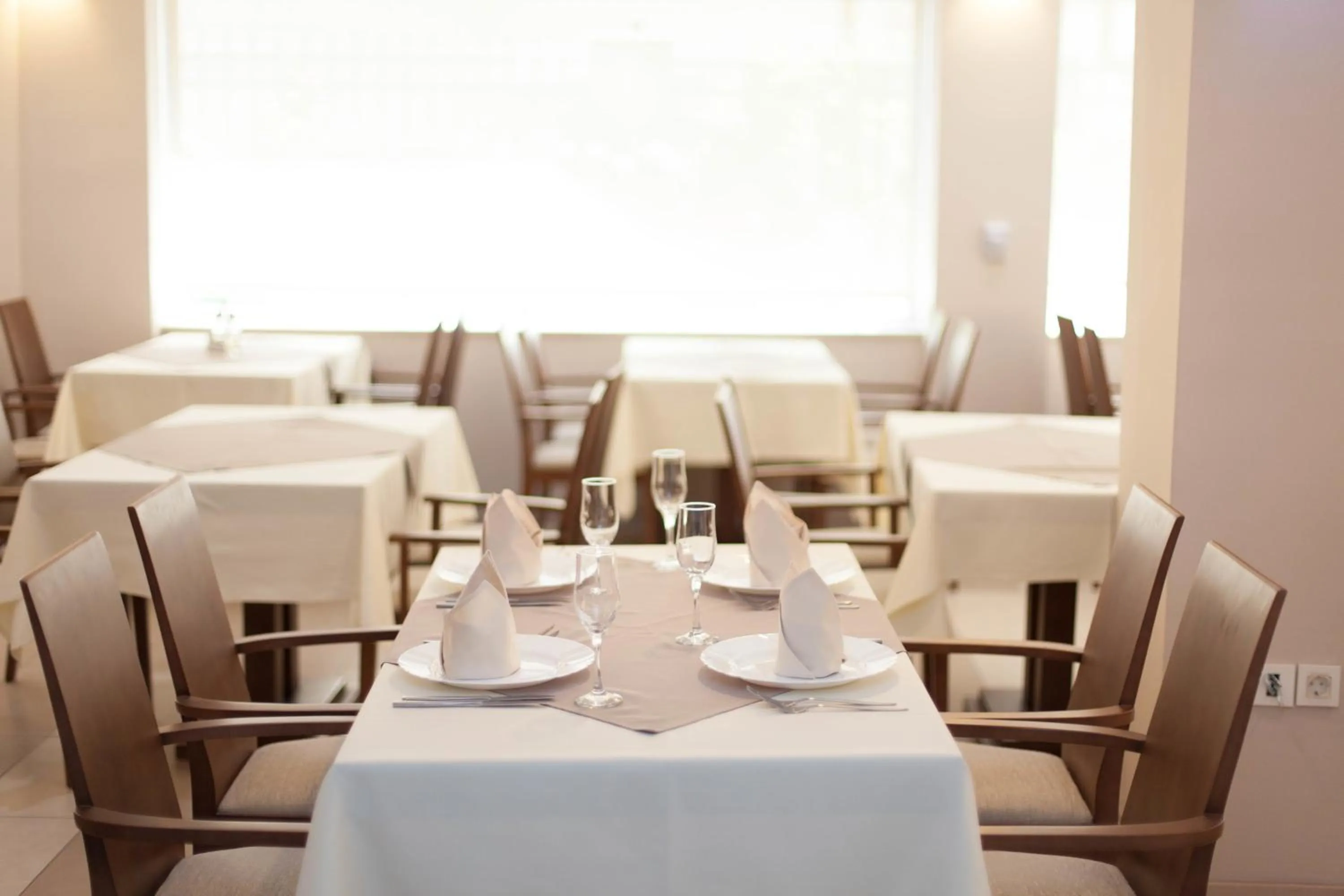 Dinner in Hotel Lebed