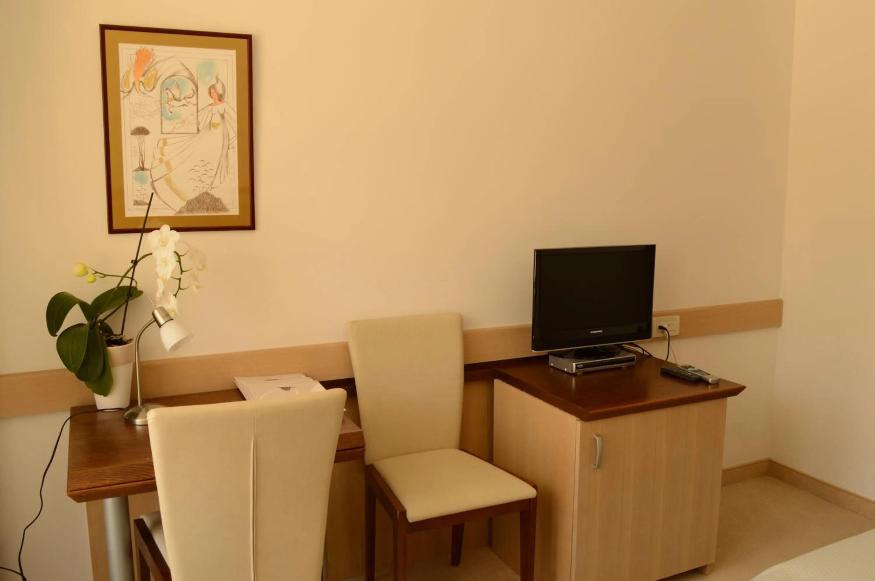 TV and multimedia in Vila Park B&B - Adults Only